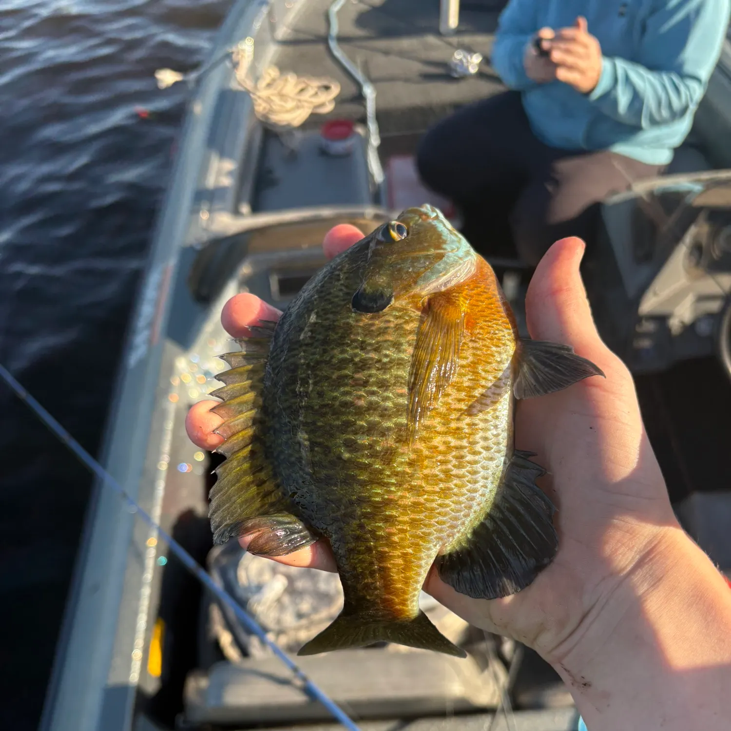 catch