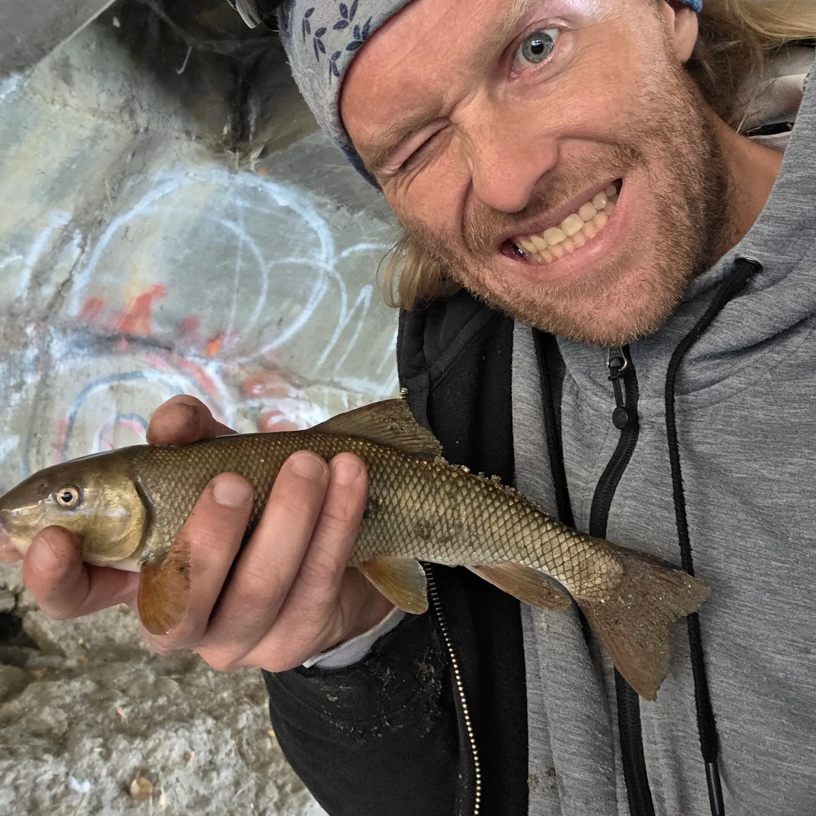 The most recent June sucker catches on Fishbrain