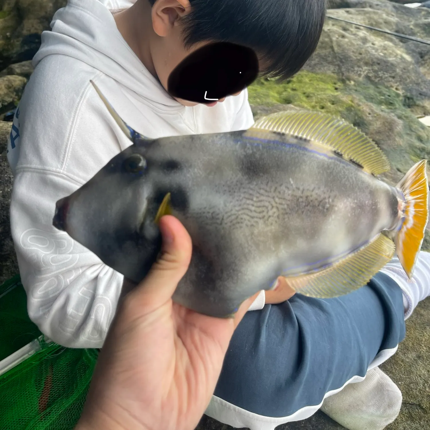 The most recent Black reef leatherjacket catches on Fishbrain