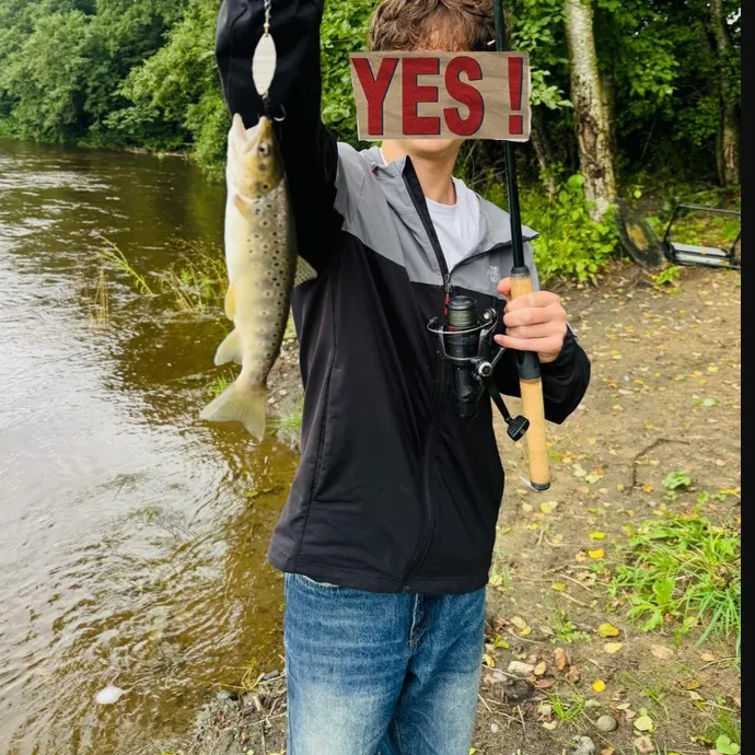 Lake trout caught on Fishbrain