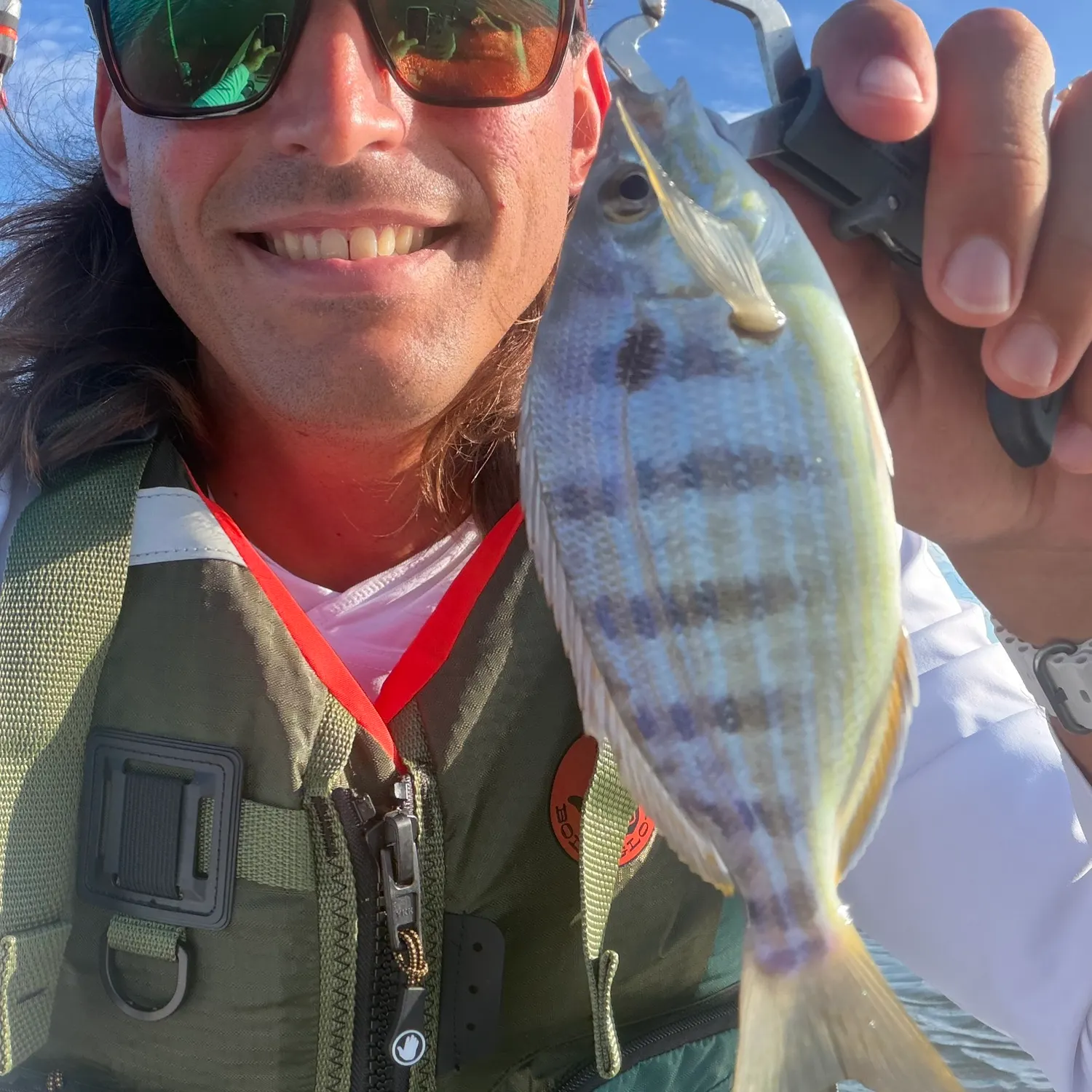 Pinfish caught on Fishbrain