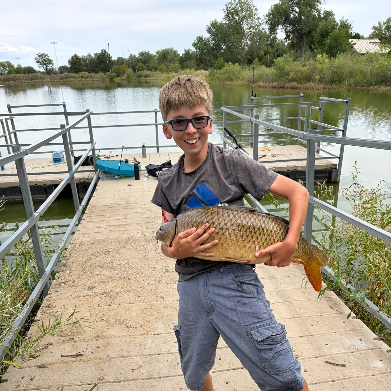 Common carp caught on Fishbrain
