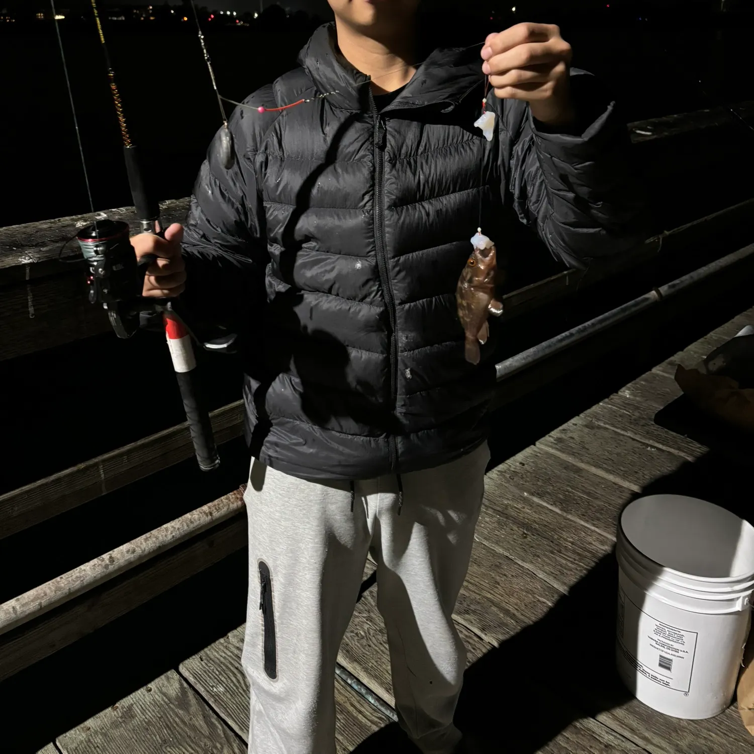 The most recent Copper rockfish catches on Fishbrain