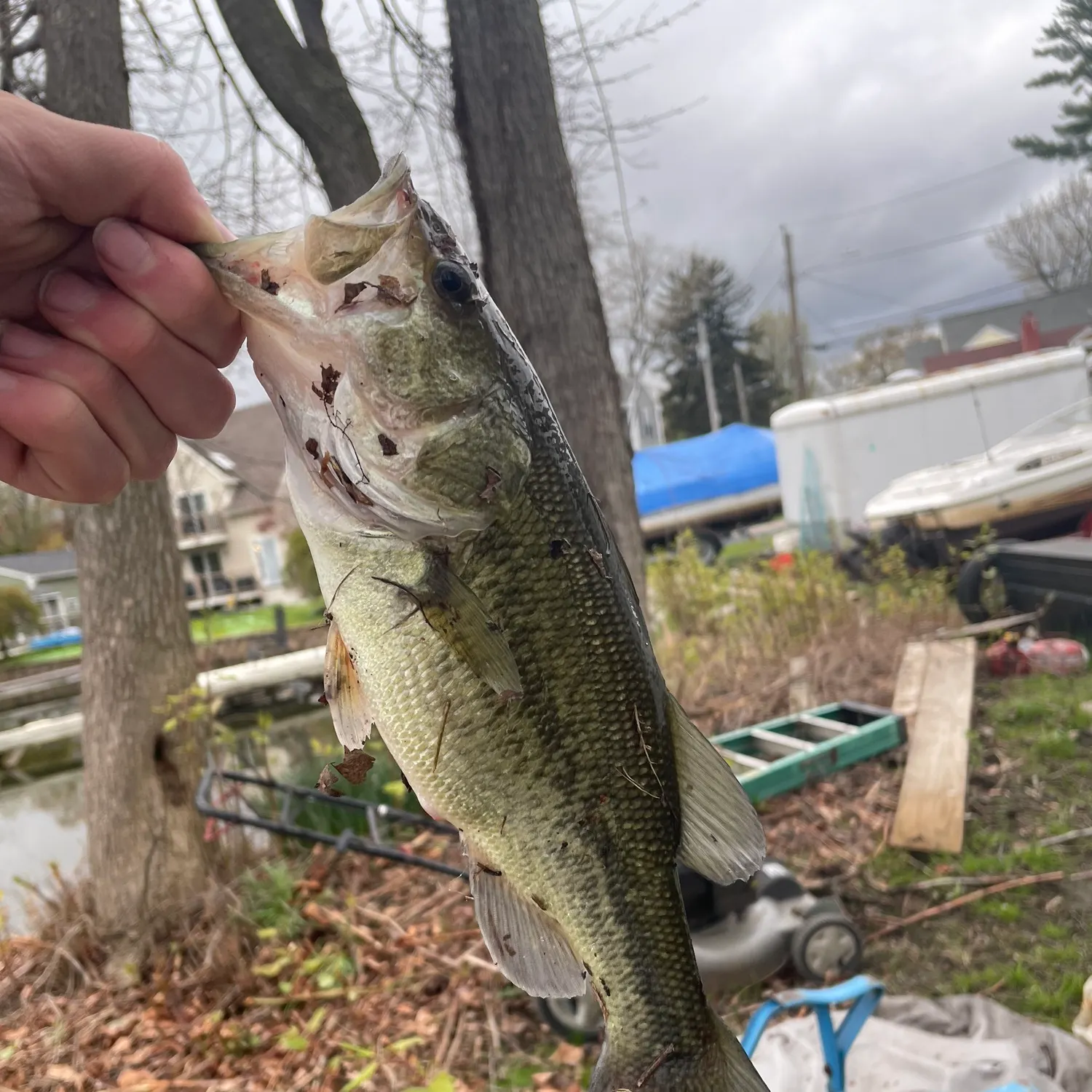 catch