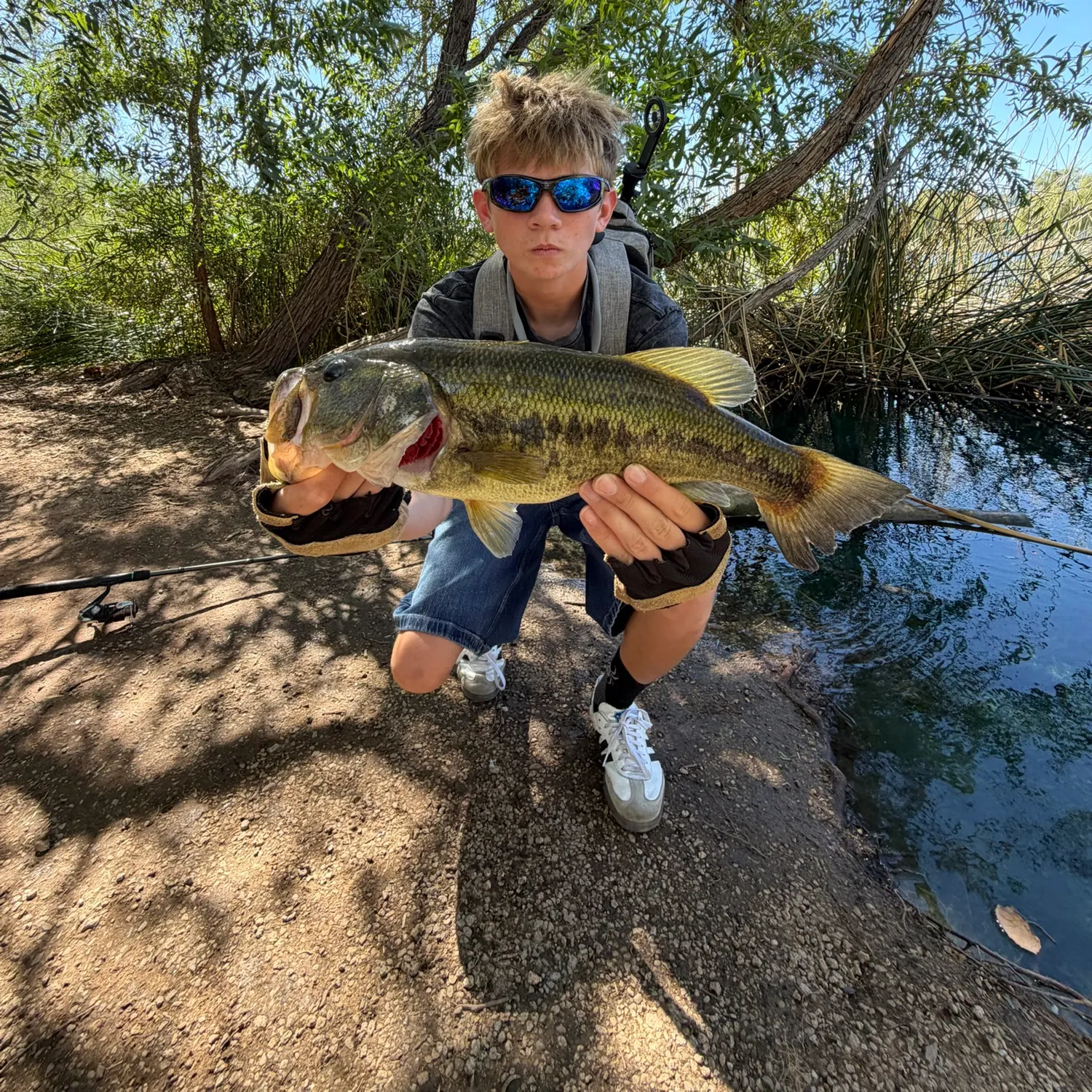 Largemouth bass caught on Fishbrain