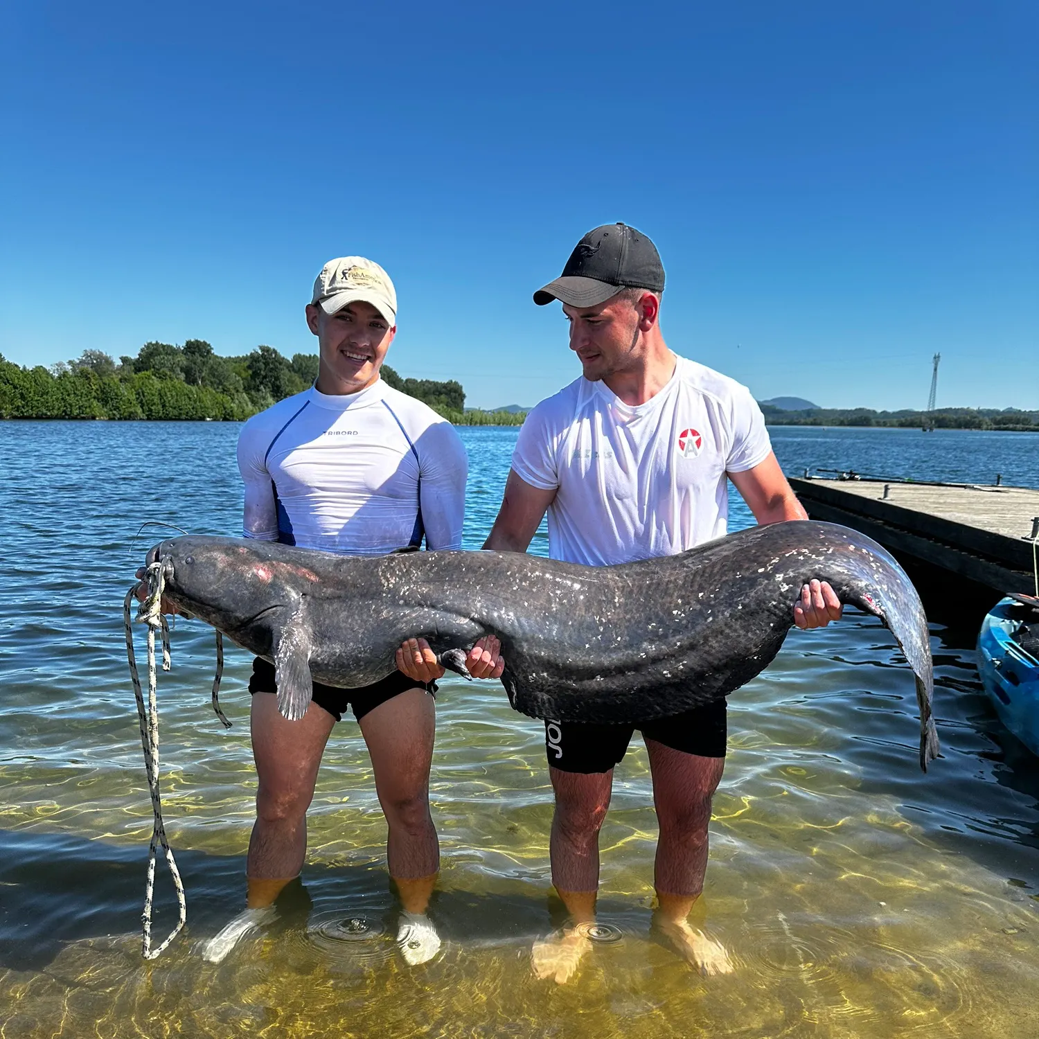 The most recent Wels catfish catches on Fishbrain