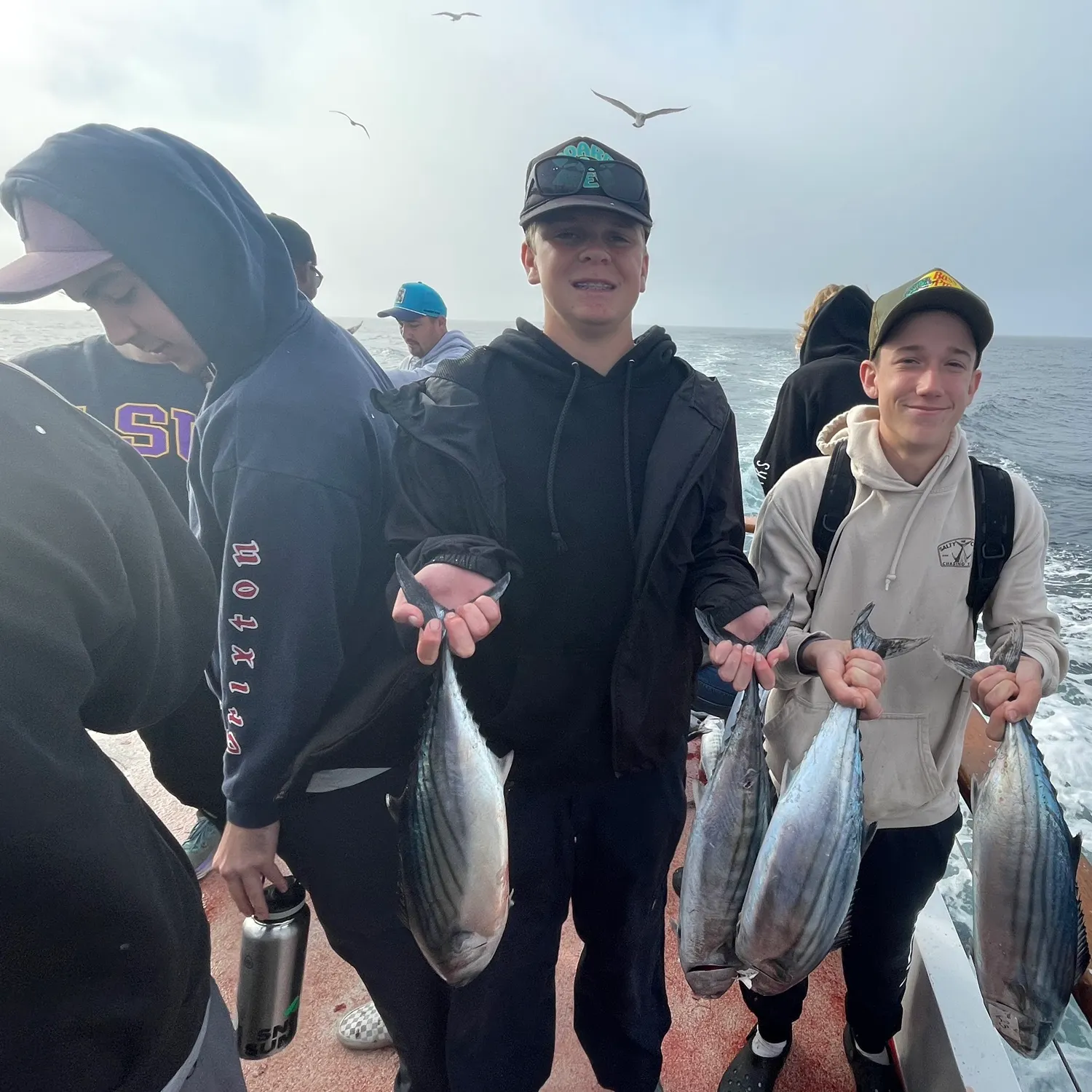 The most recent Pacific bonito catches on Fishbrain