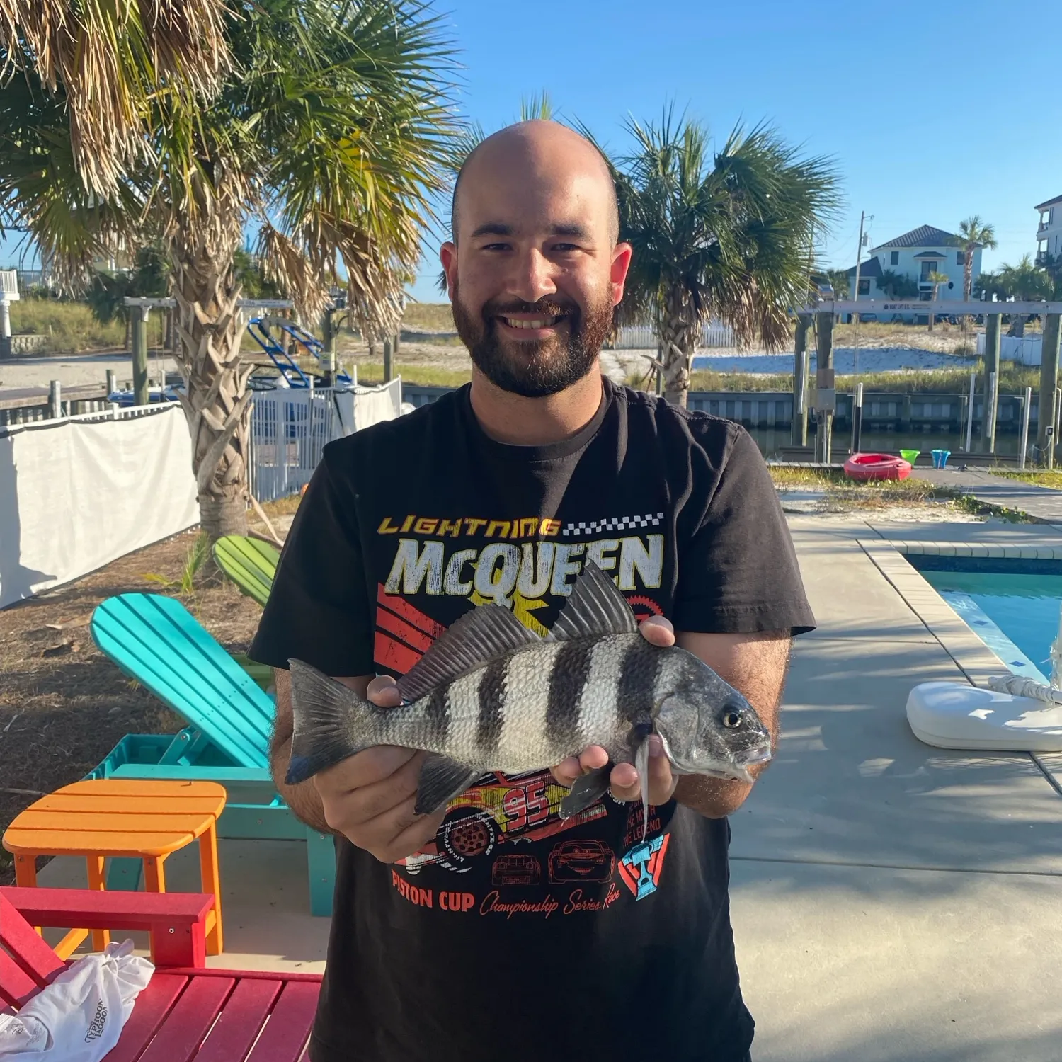 Black drum caught on Fishbrain