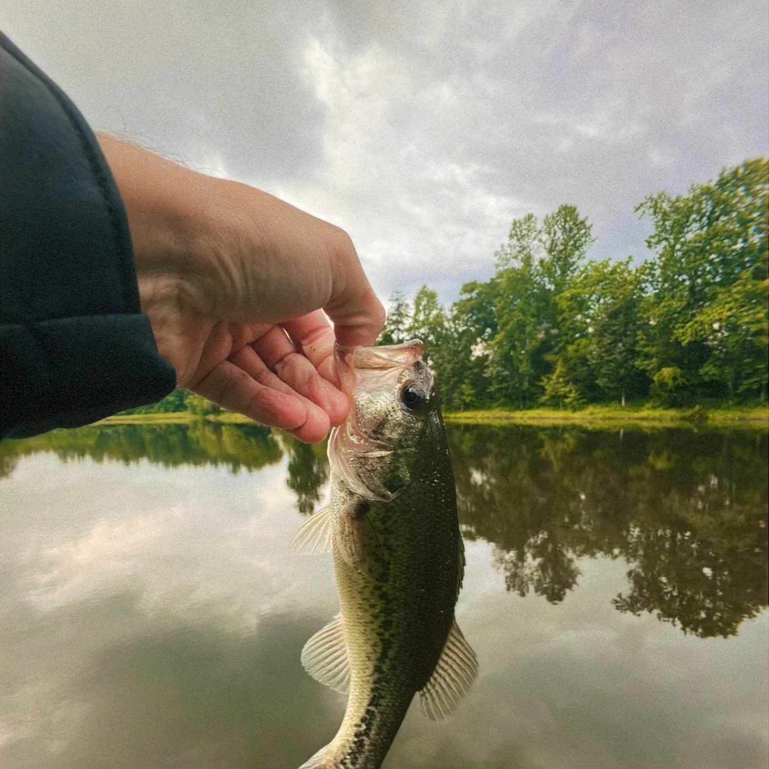 angler catch
