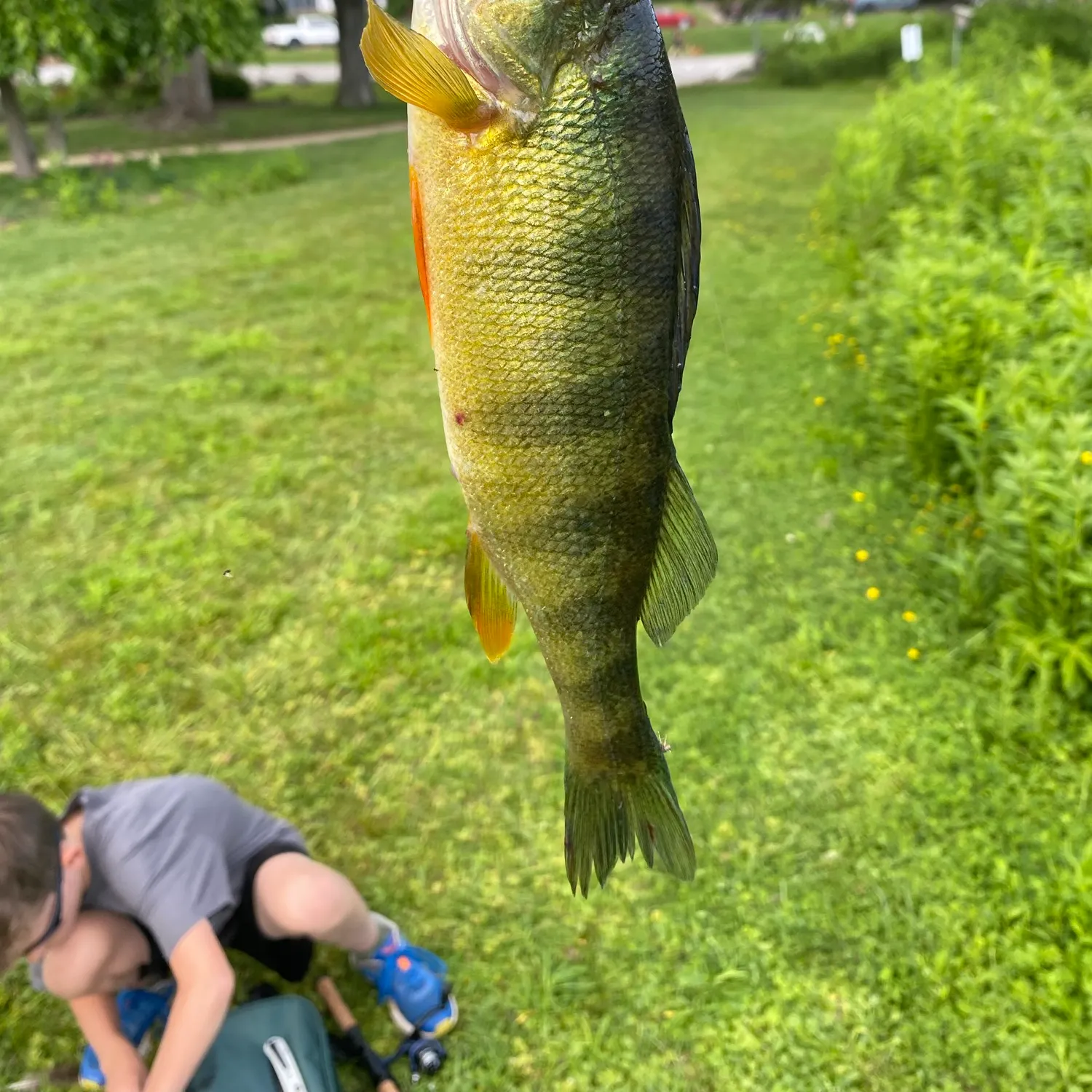 catch