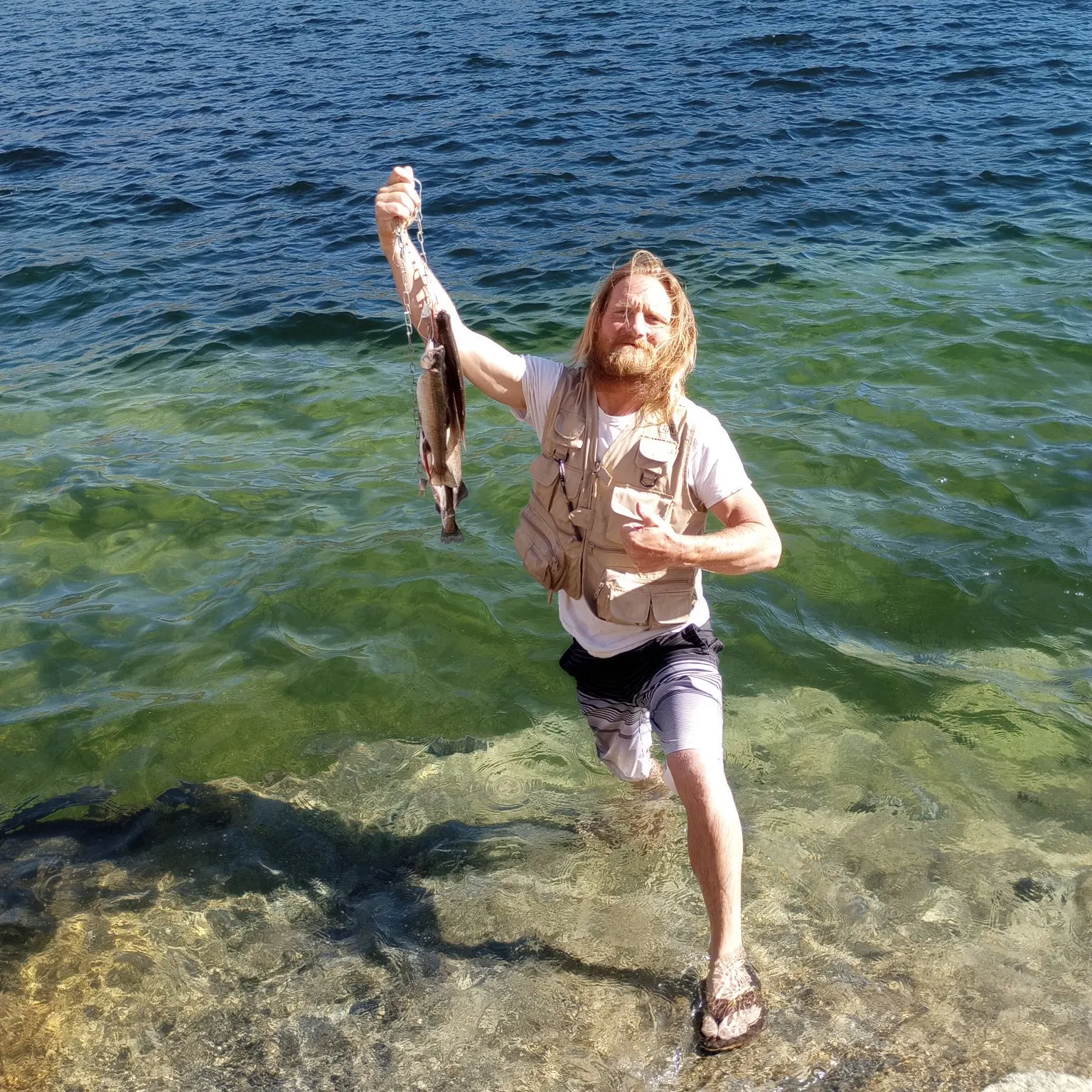 Rainbow trout caught on Fishbrain