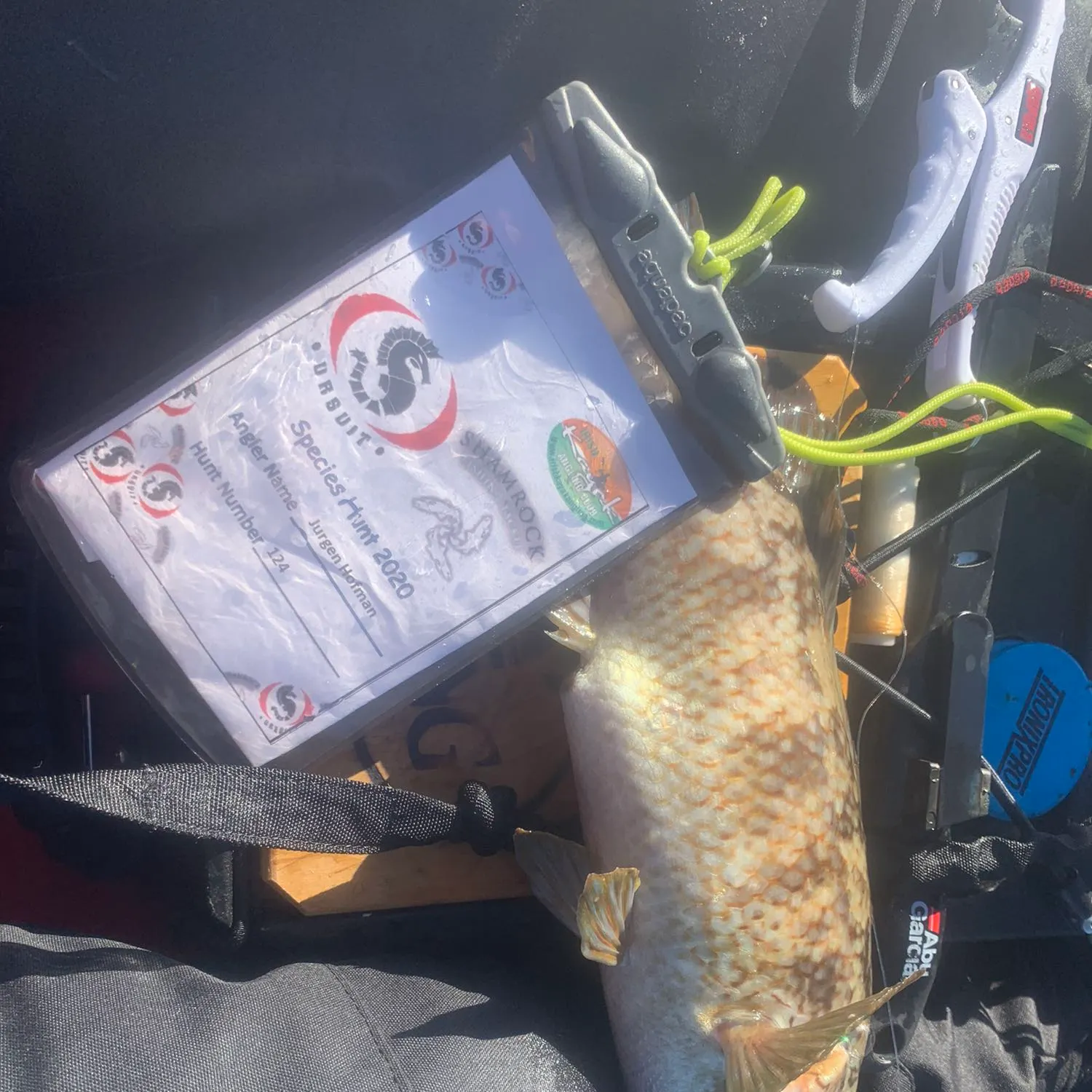 recently logged catches