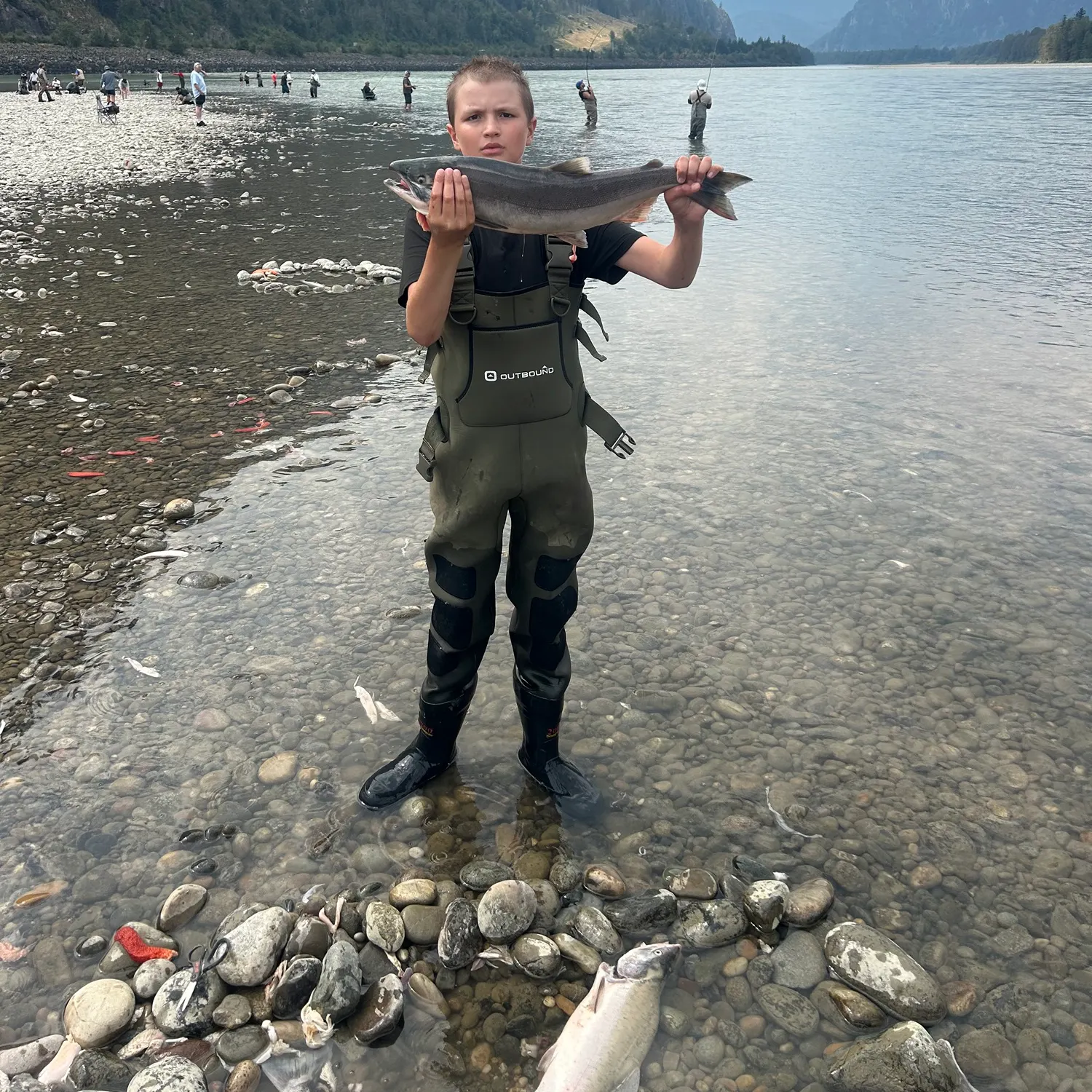 Sockeye salmon caught on Fishbrain
