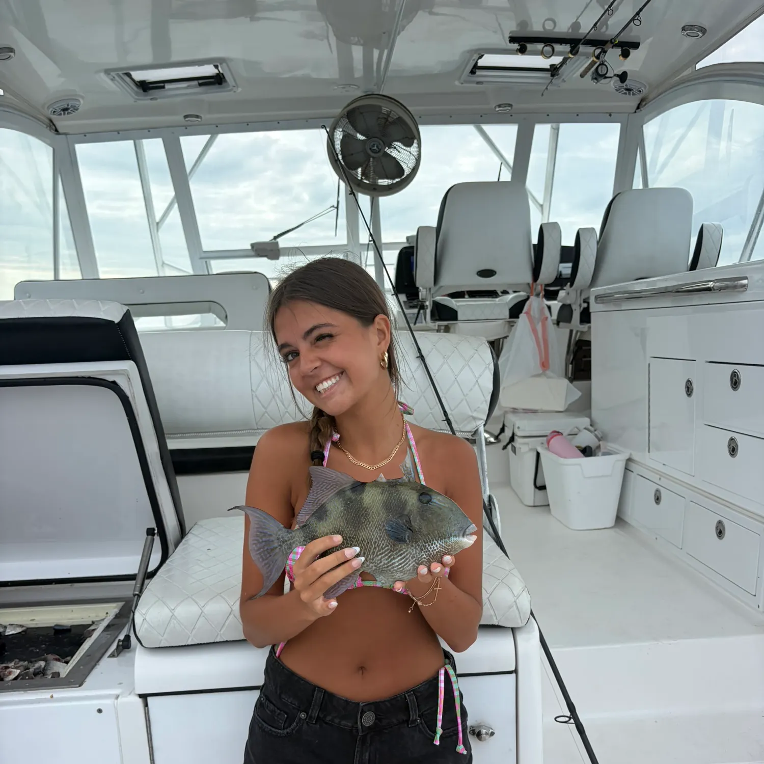 The most recent Grey triggerfish catches on Fishbrain