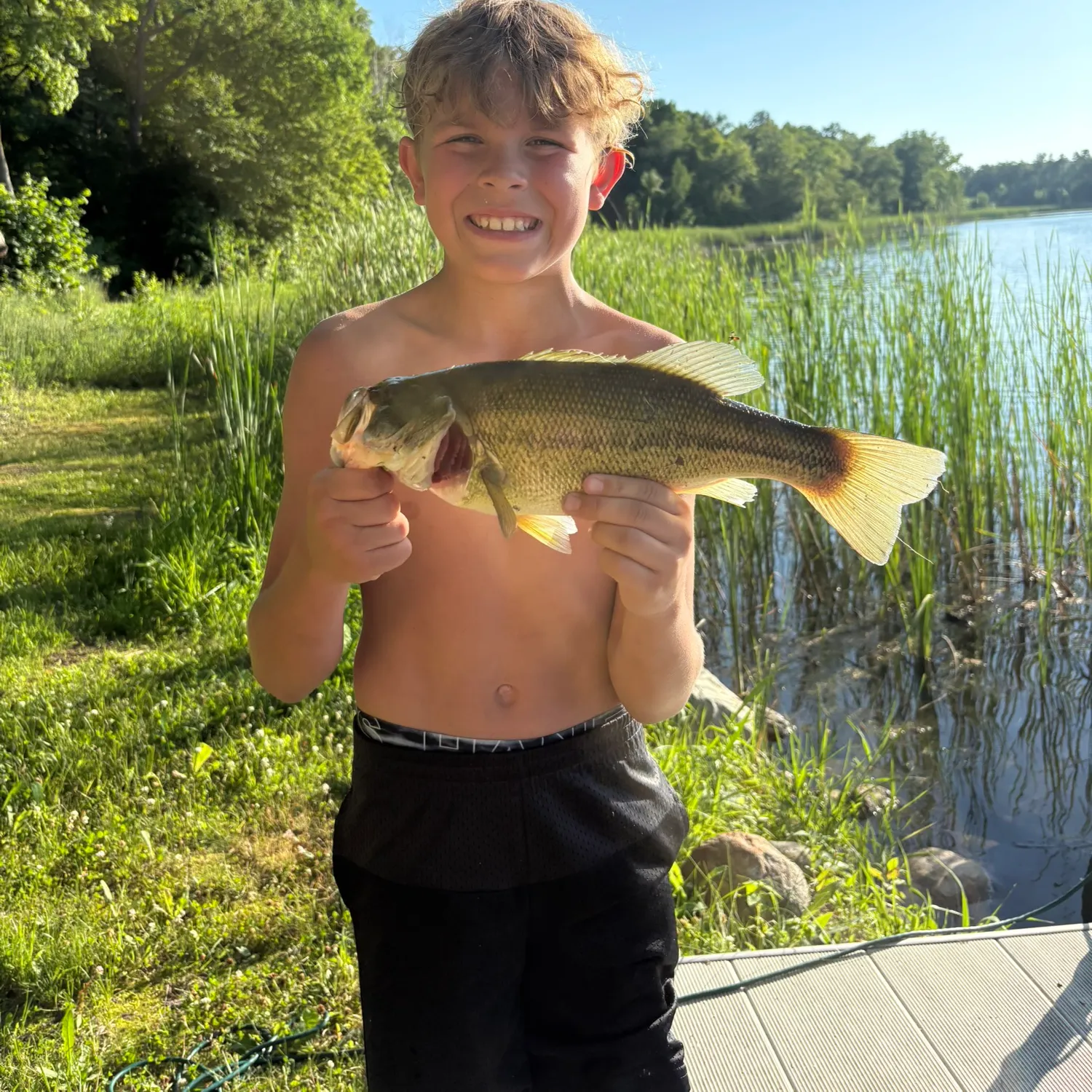 Largemouth bass caught on Fishbrain