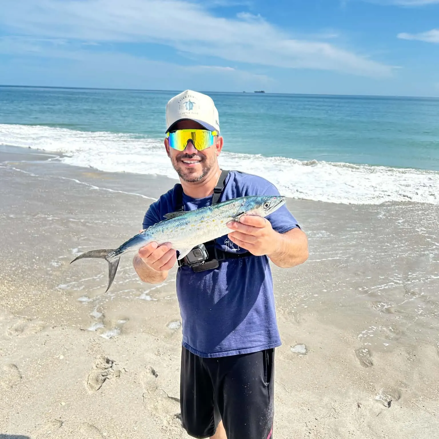 The most recent Spanish mackerel catches on Fishbrain