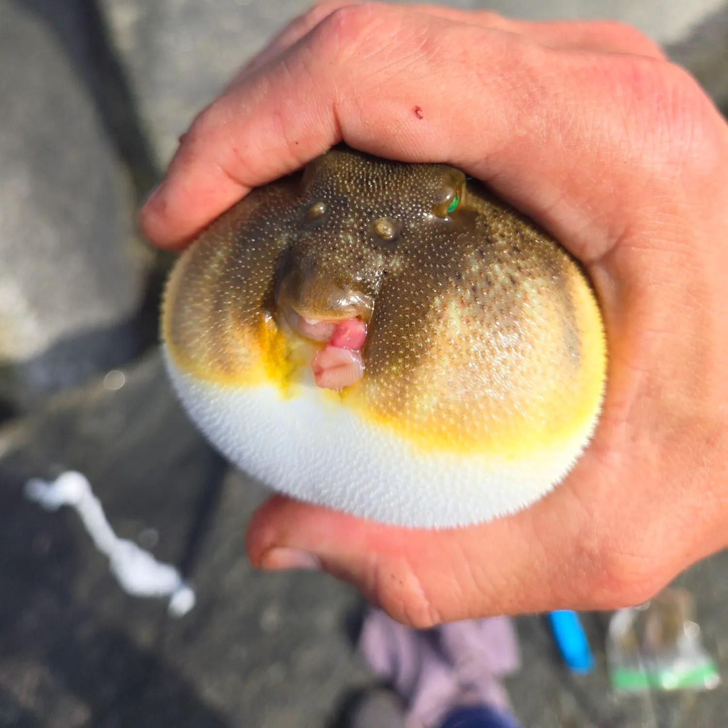 catch