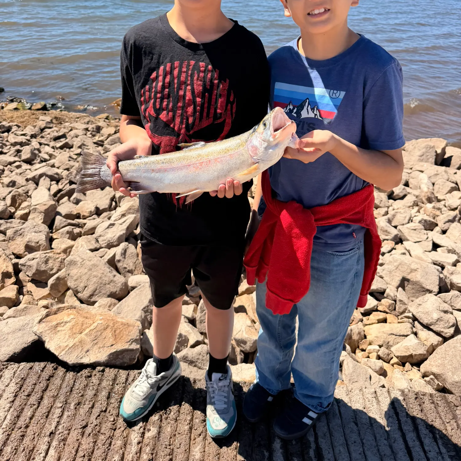 Rainbow trout caught on Fishbrain