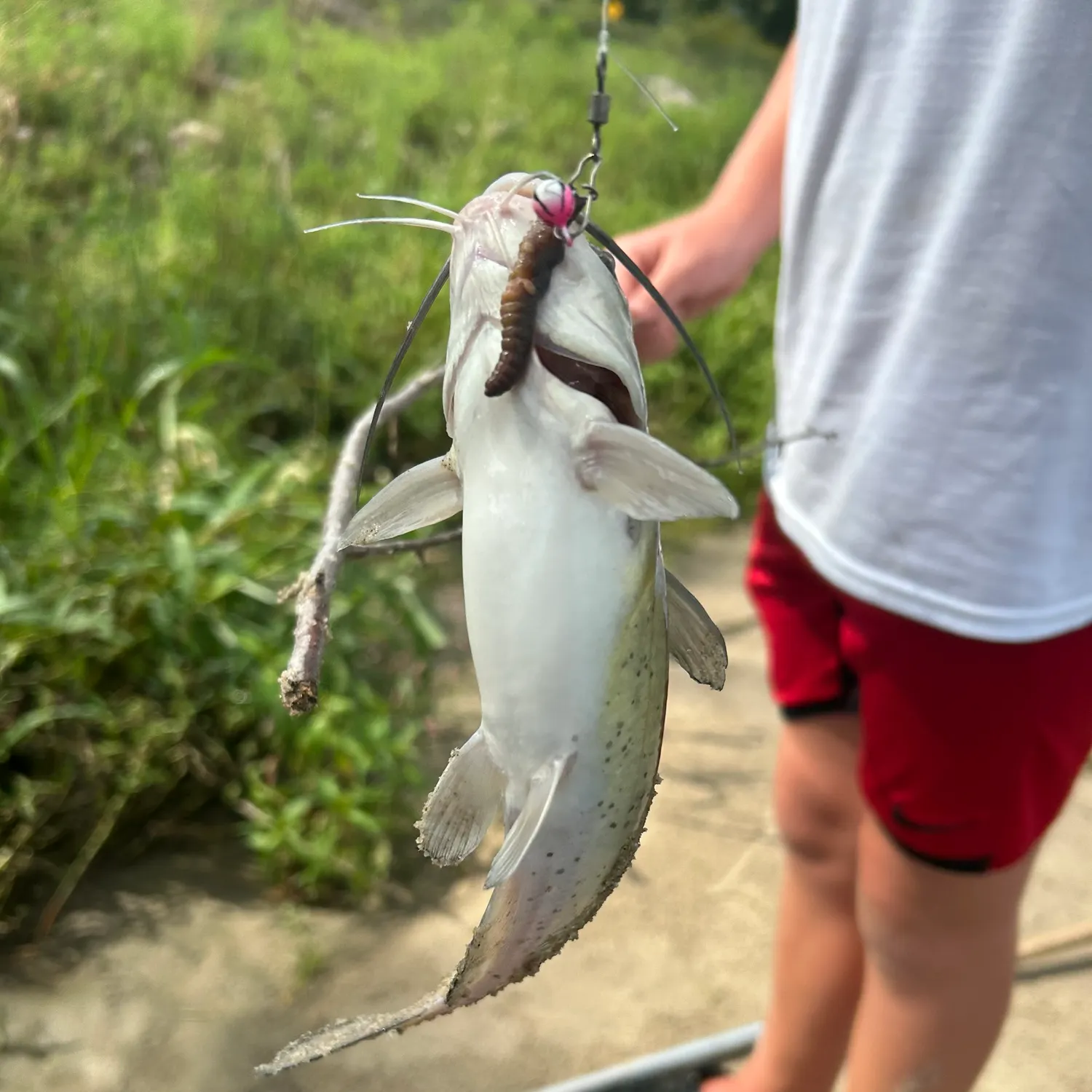 catch