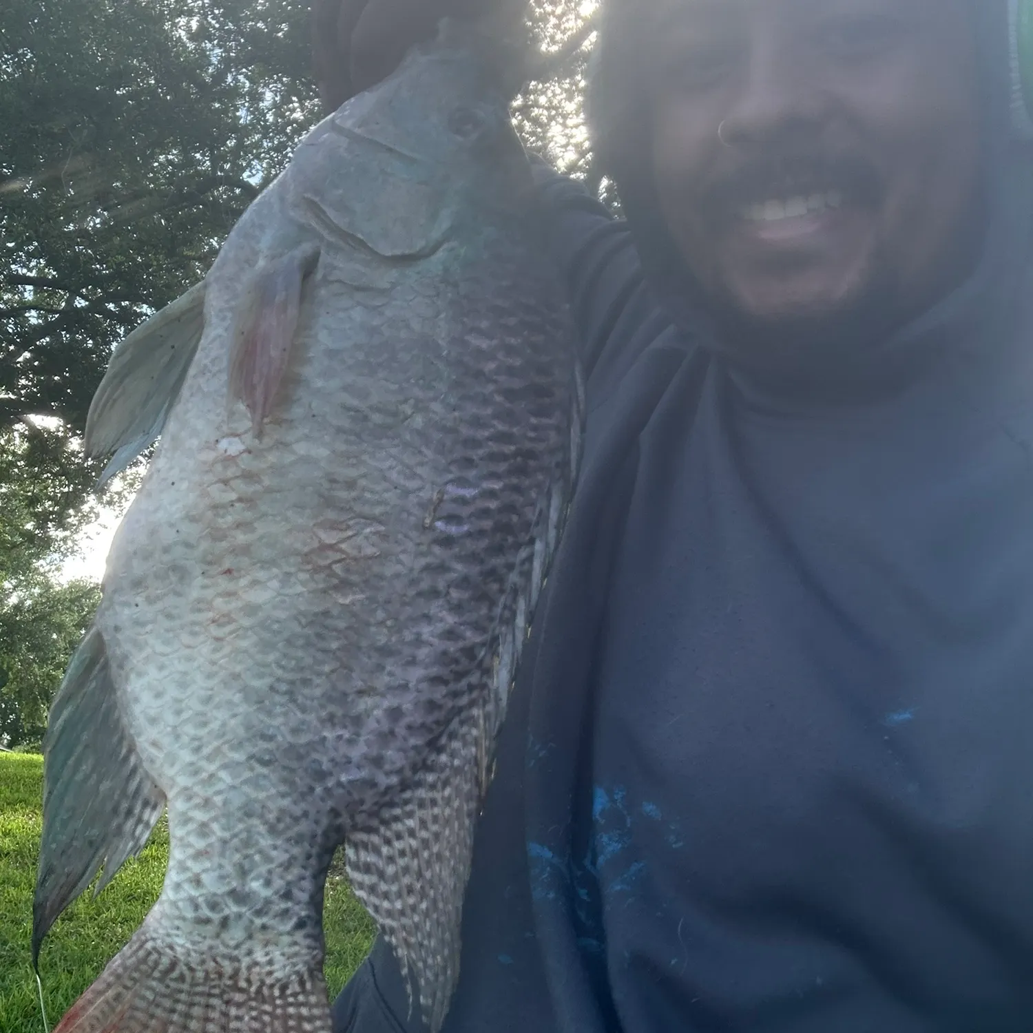 The most recent Nile tilapia catches on Fishbrain