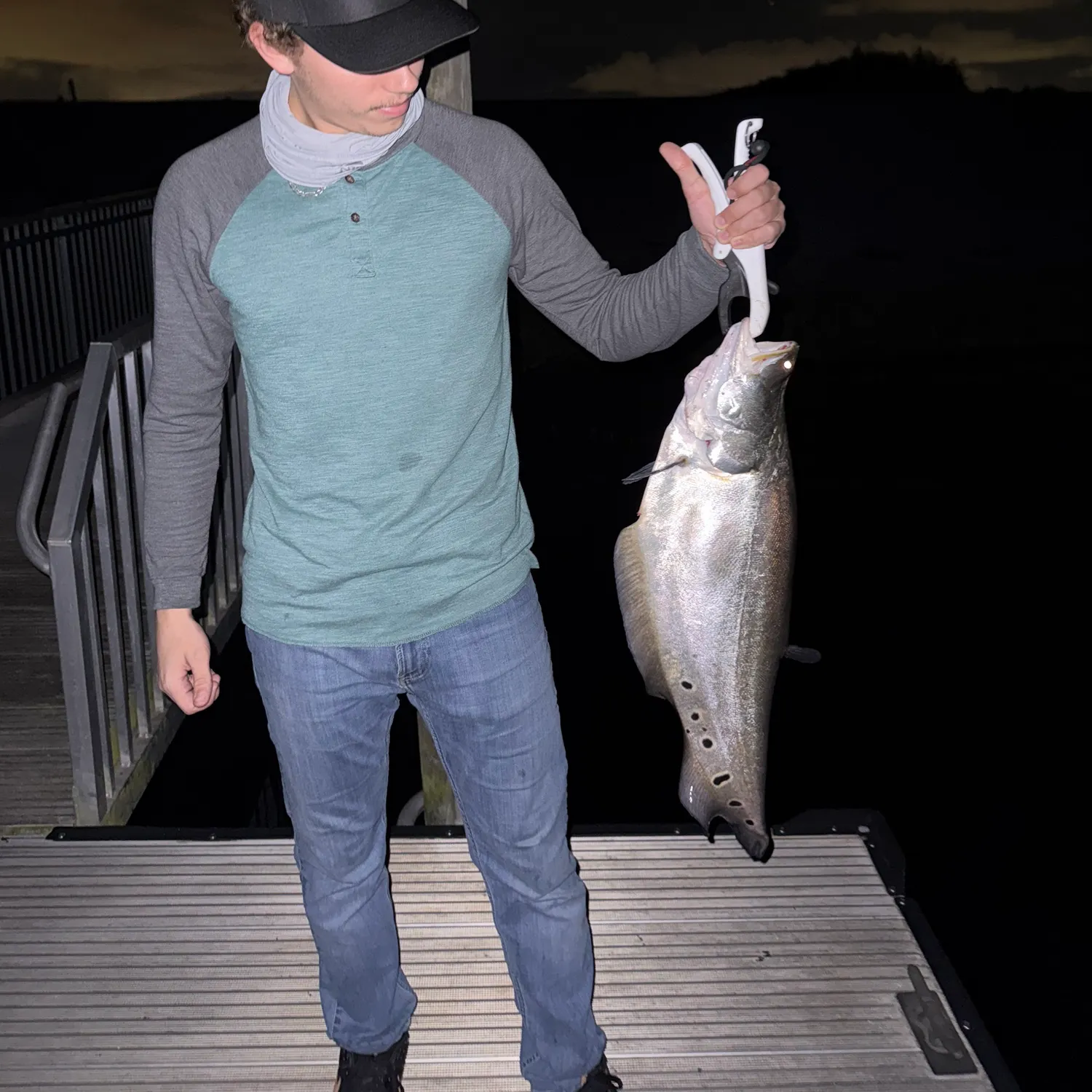The most recent Clown knifefish catches on Fishbrain