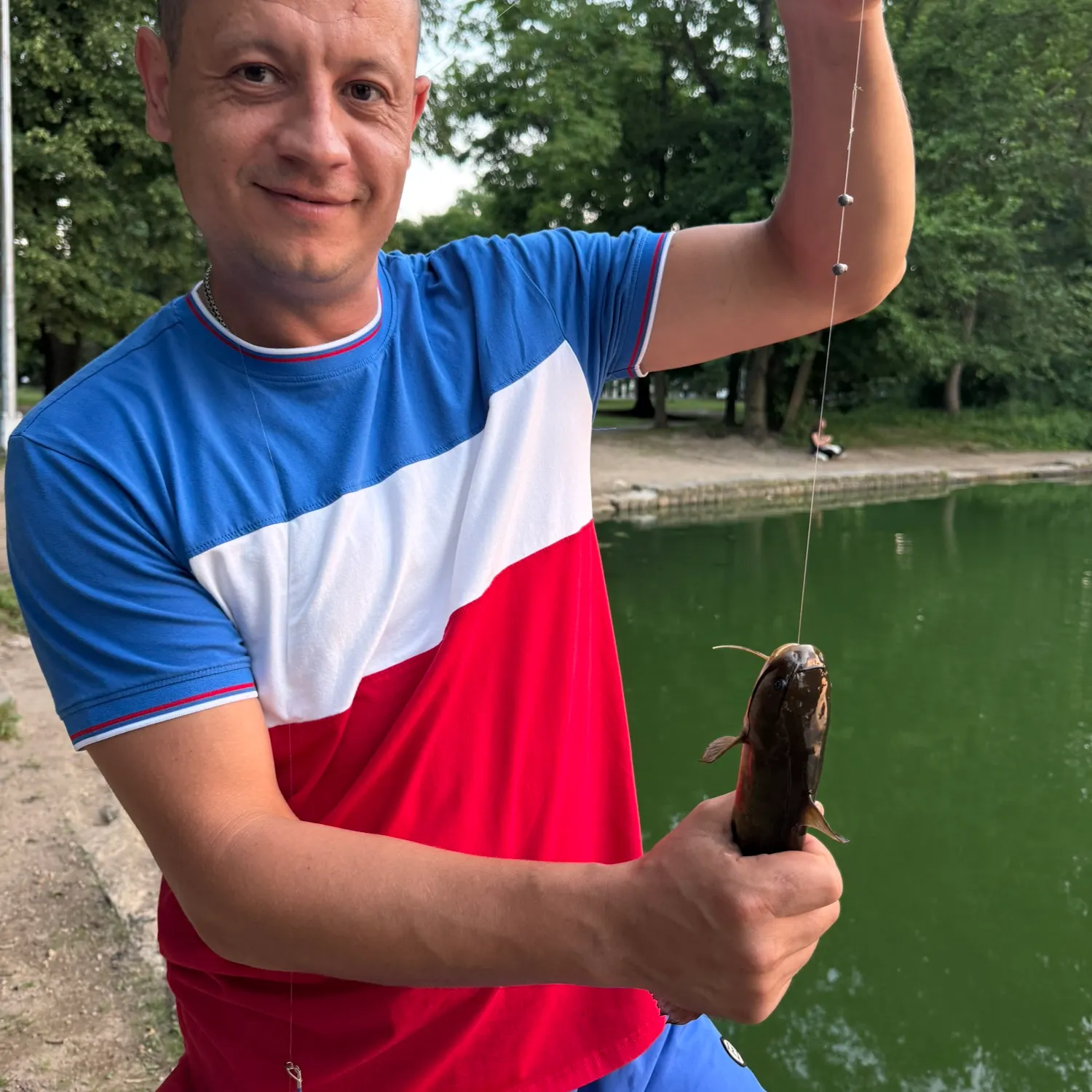 The most recent Brown bullhead catches on Fishbrain