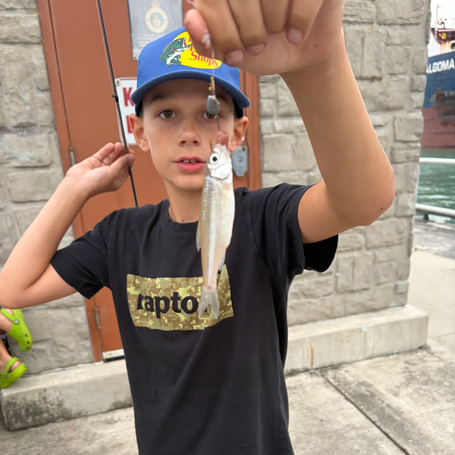 Emerald shiner caught on Fishbrain