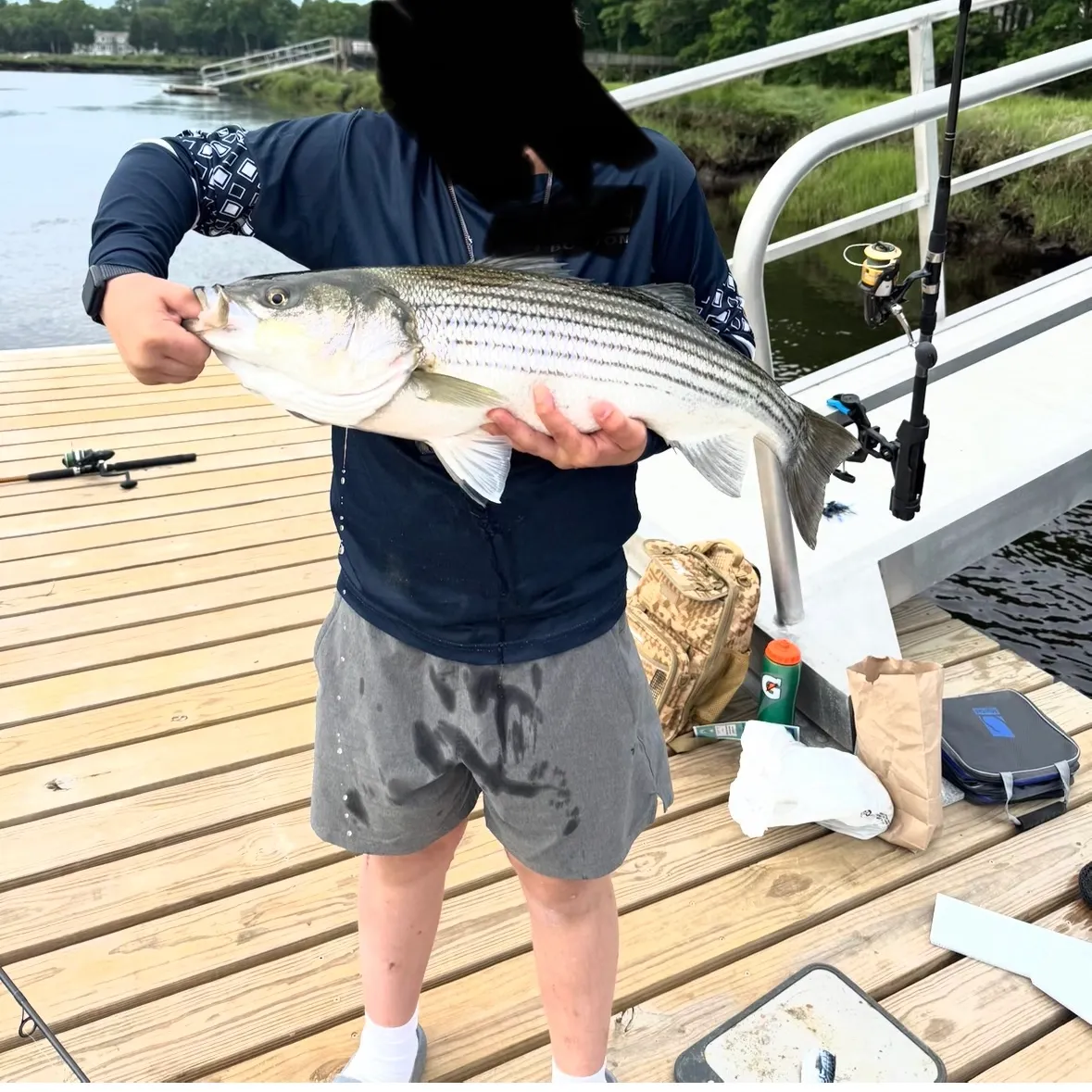 Striped bass caught on Fishbrain