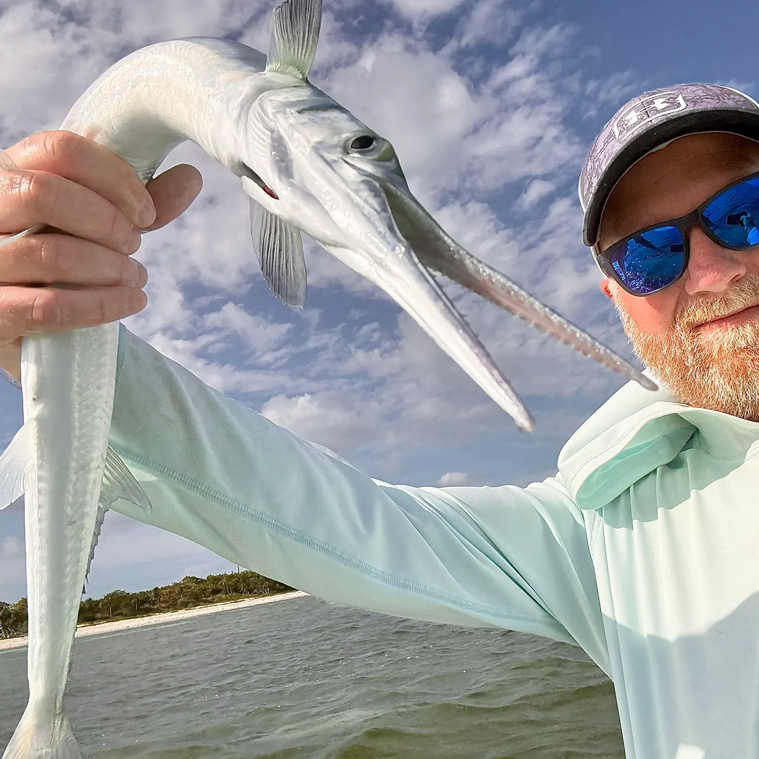 The most recent Hound needlefish catches on Fishbrain