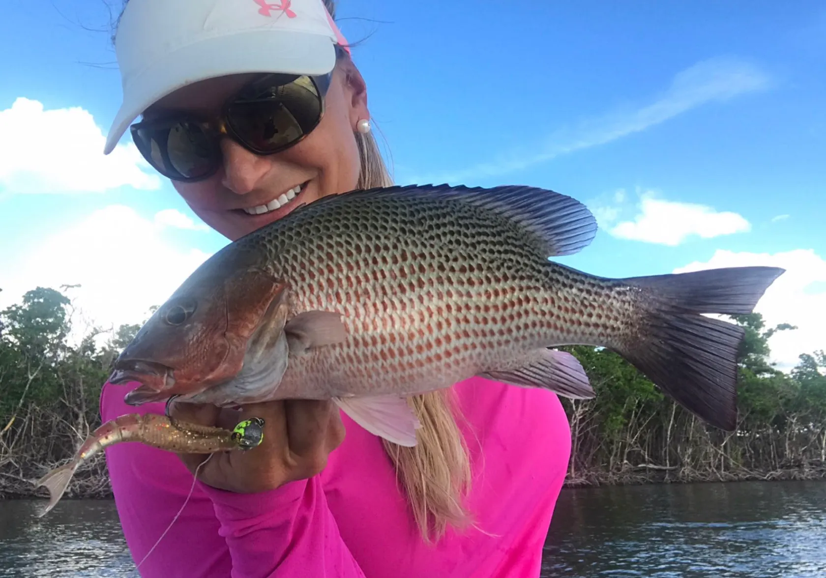 Mangrove snapper