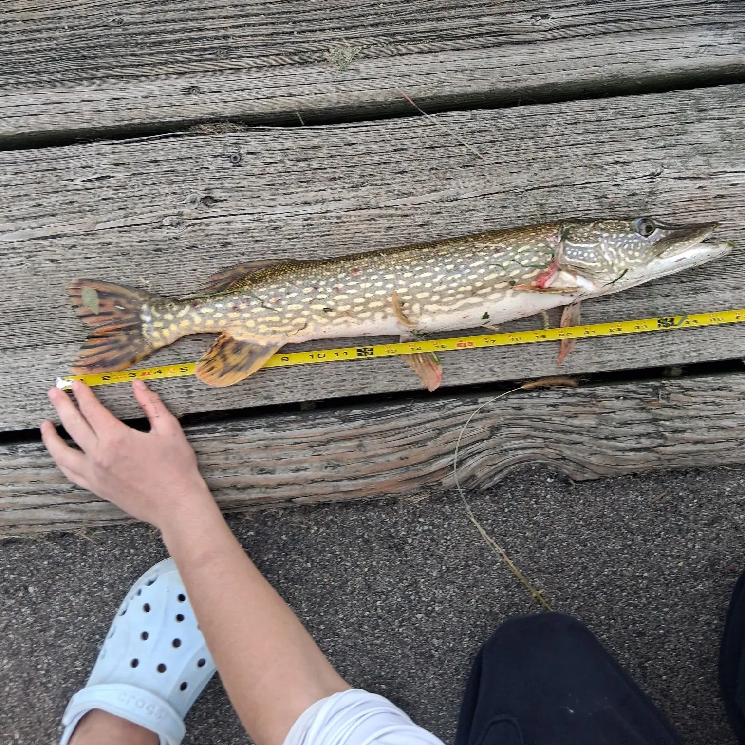 catch