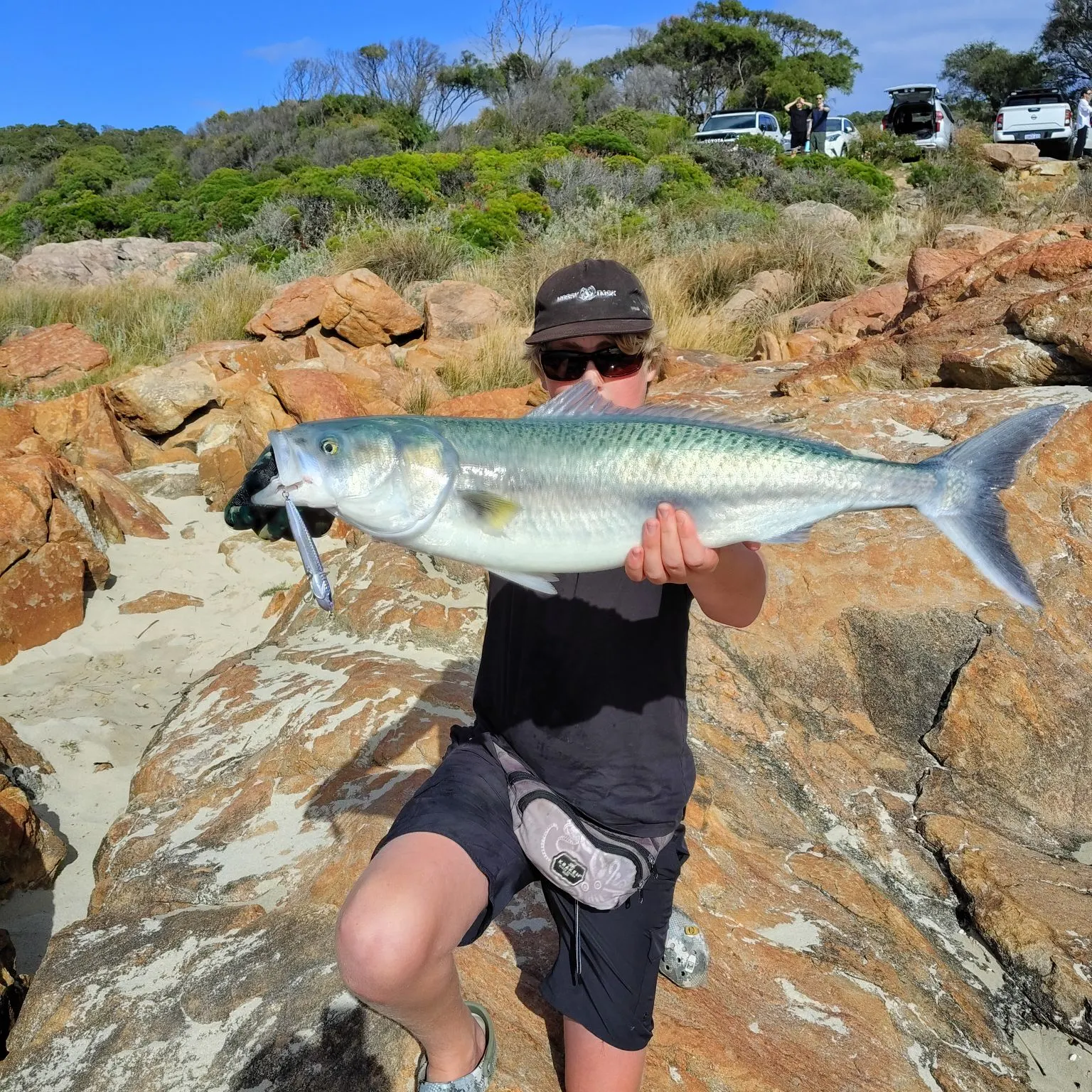The most recent Western Australian salmon catches on Fishbrain