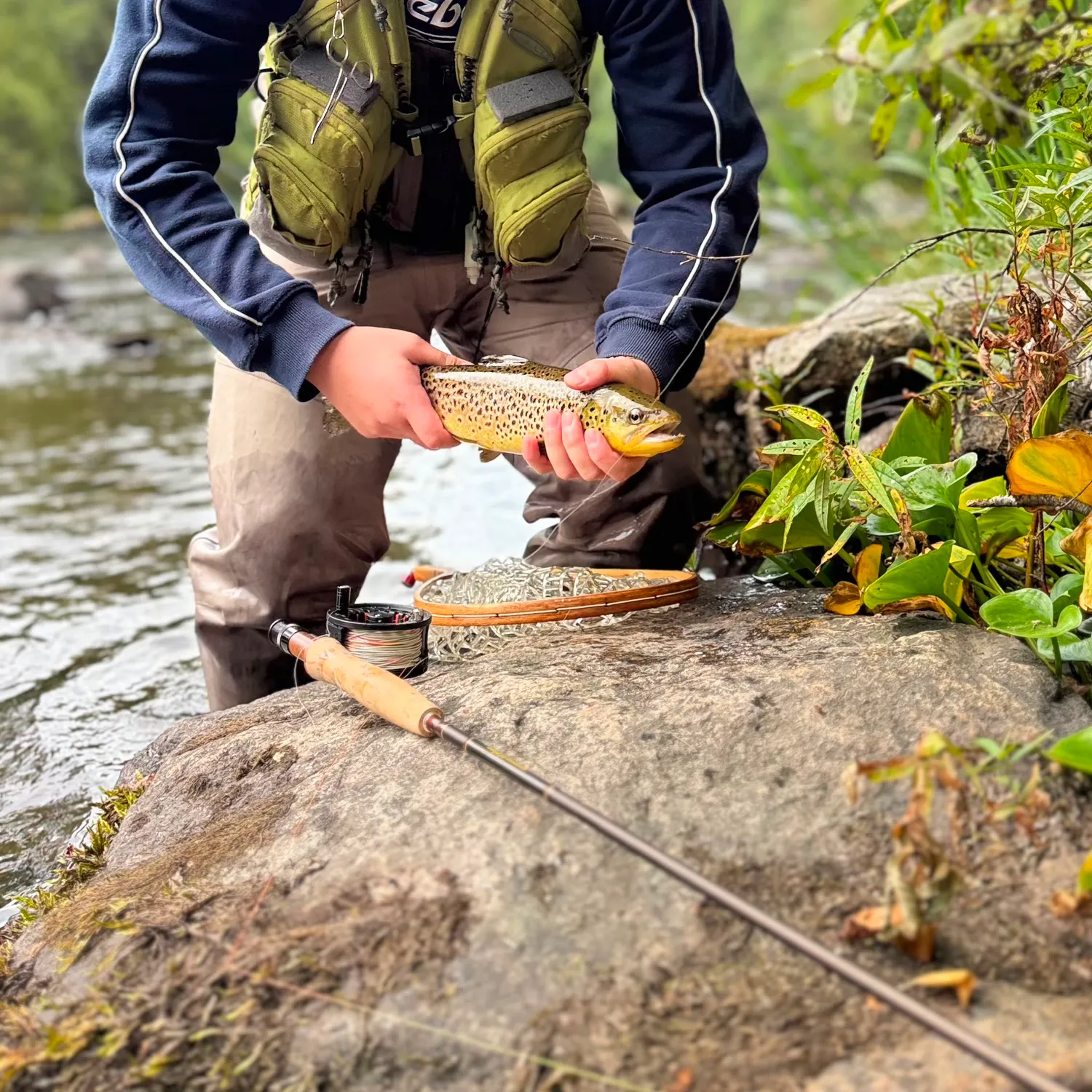 Brown trout caught on Fishbrain