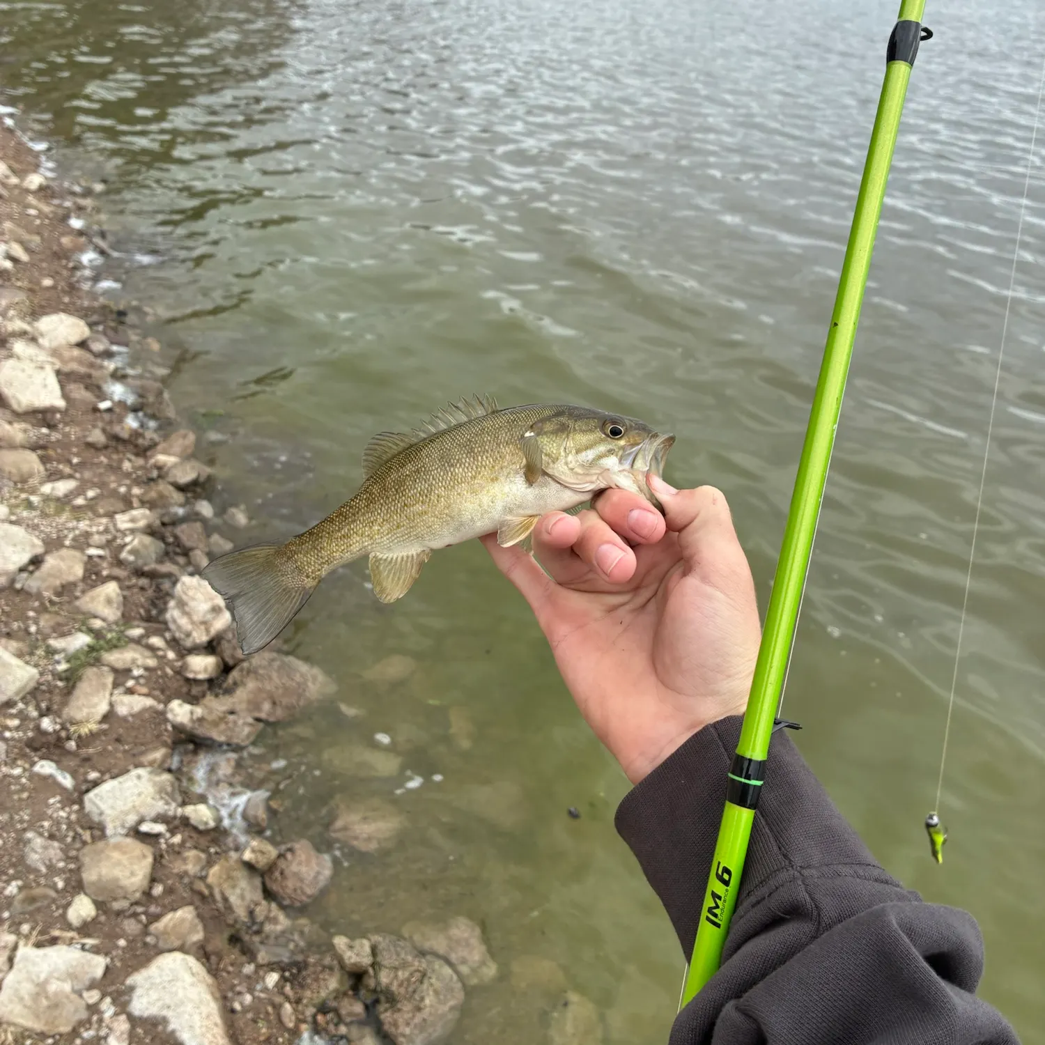 Smallmouth bass caught on Fishbrain