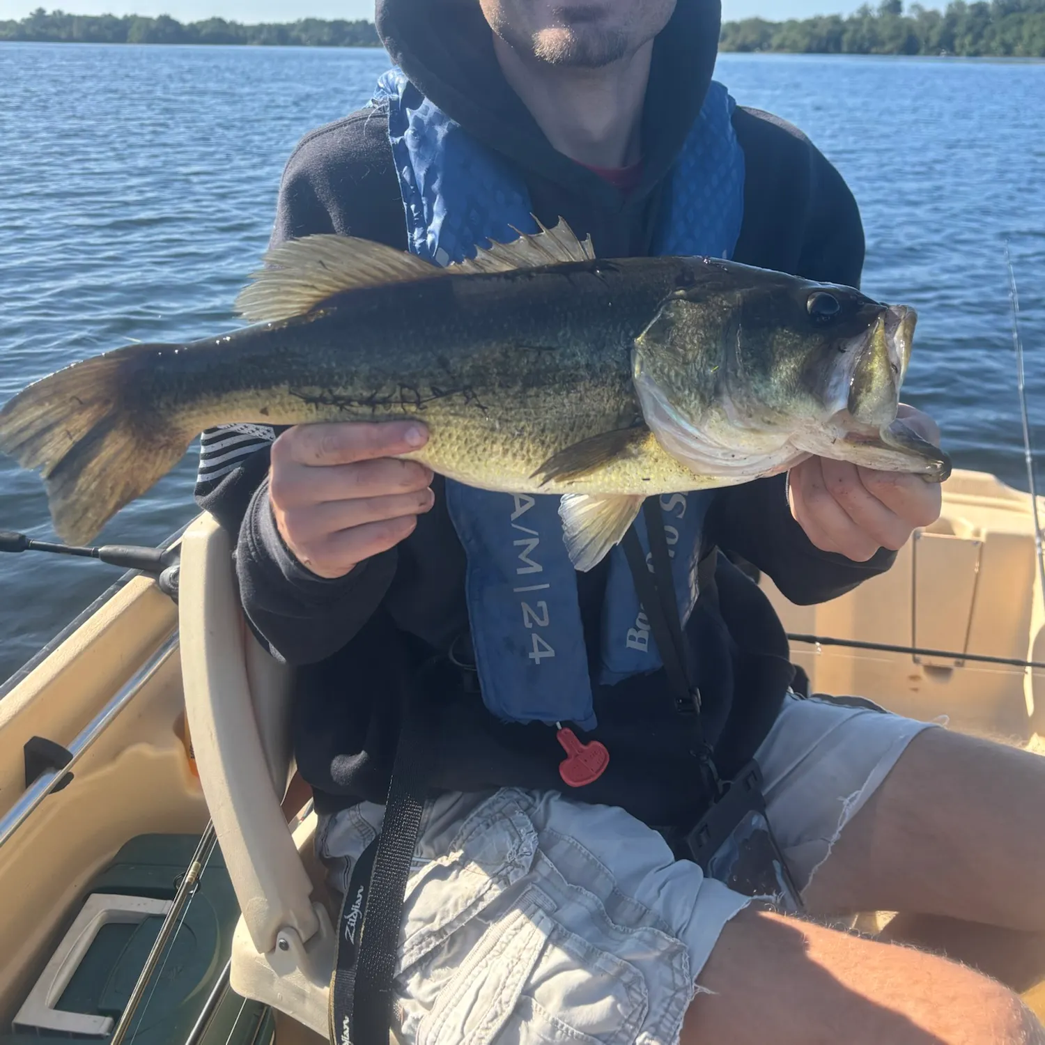 Largemouth bass caught on Fishbrain