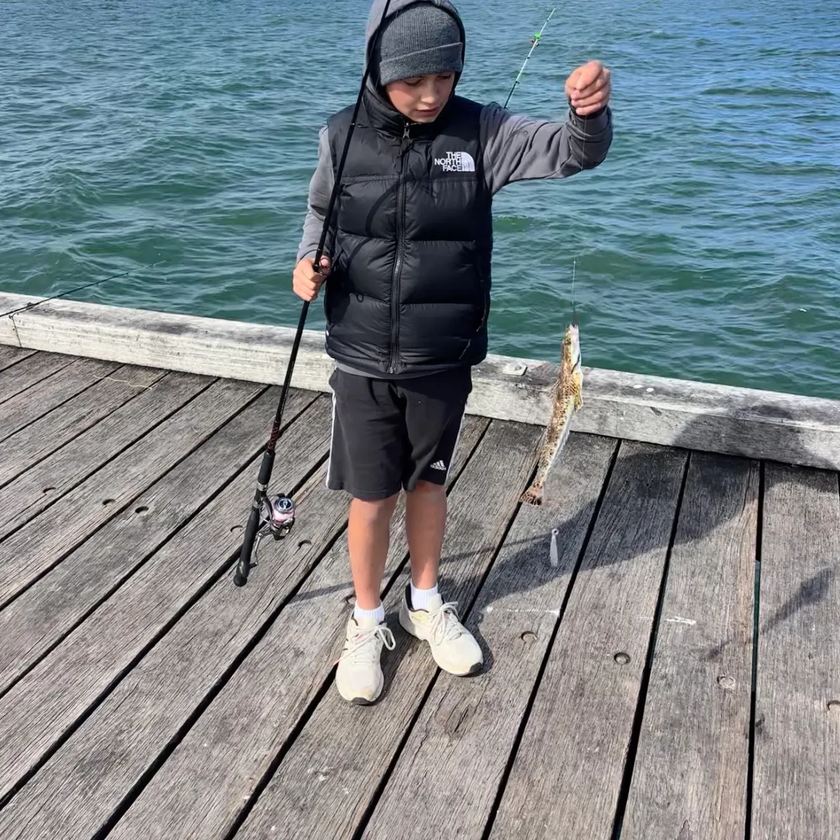 The most recent Blue-spotted flathead catches on Fishbrain