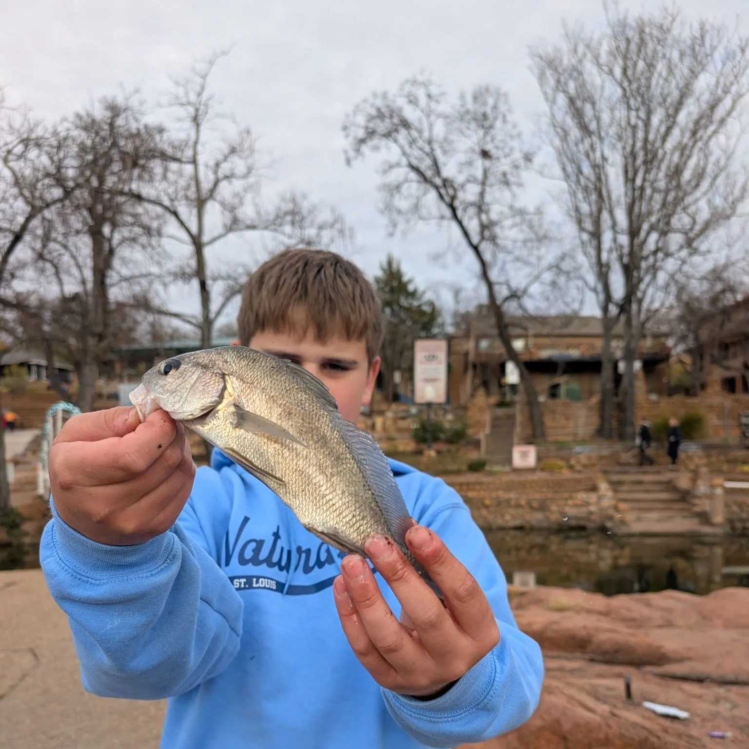 The most recent Freshwater drum catches on Fishbrain