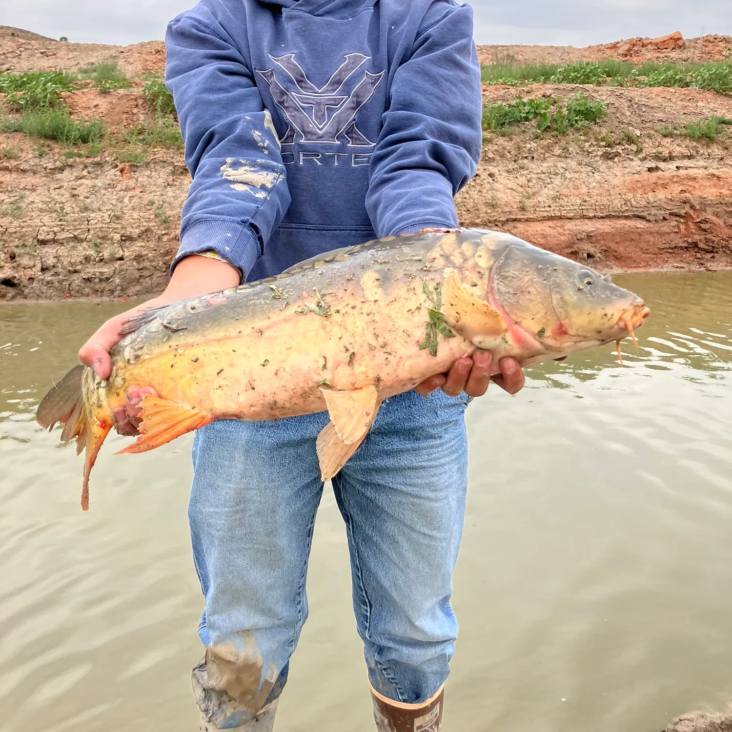 The most recent Leather carp catches on Fishbrain