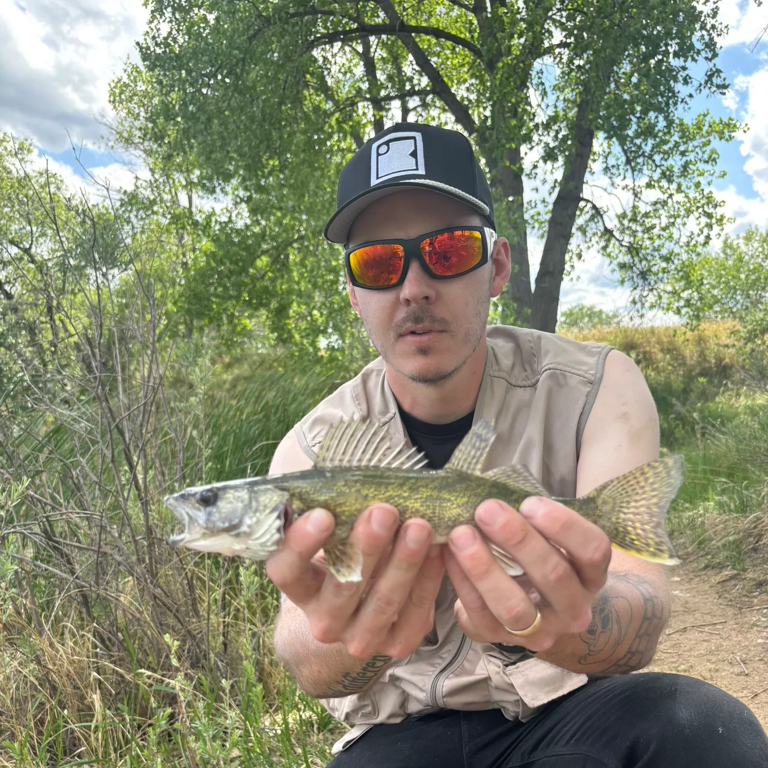 The most recent Saugeye catches on Fishbrain