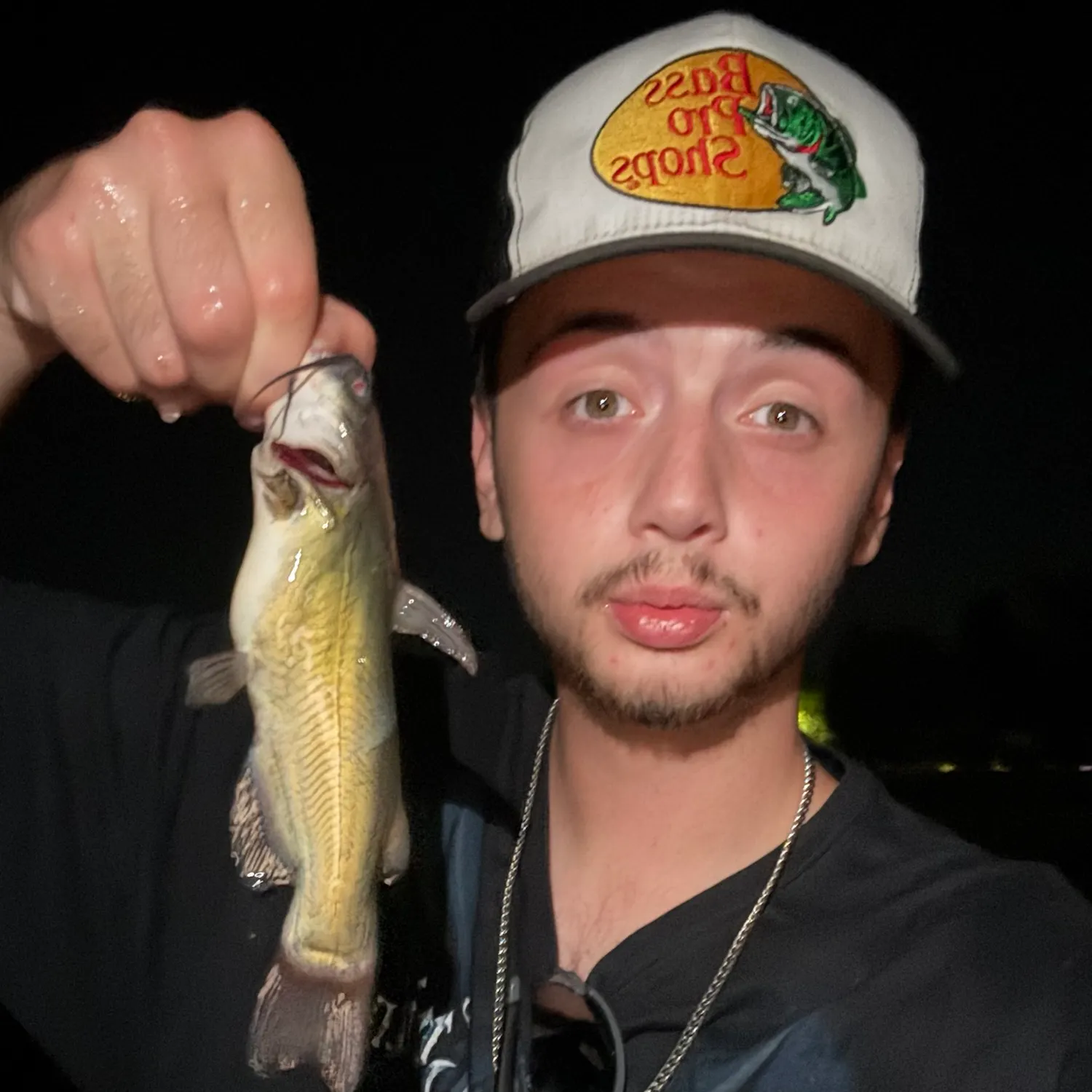 Yellow bullhead caught on Fishbrain