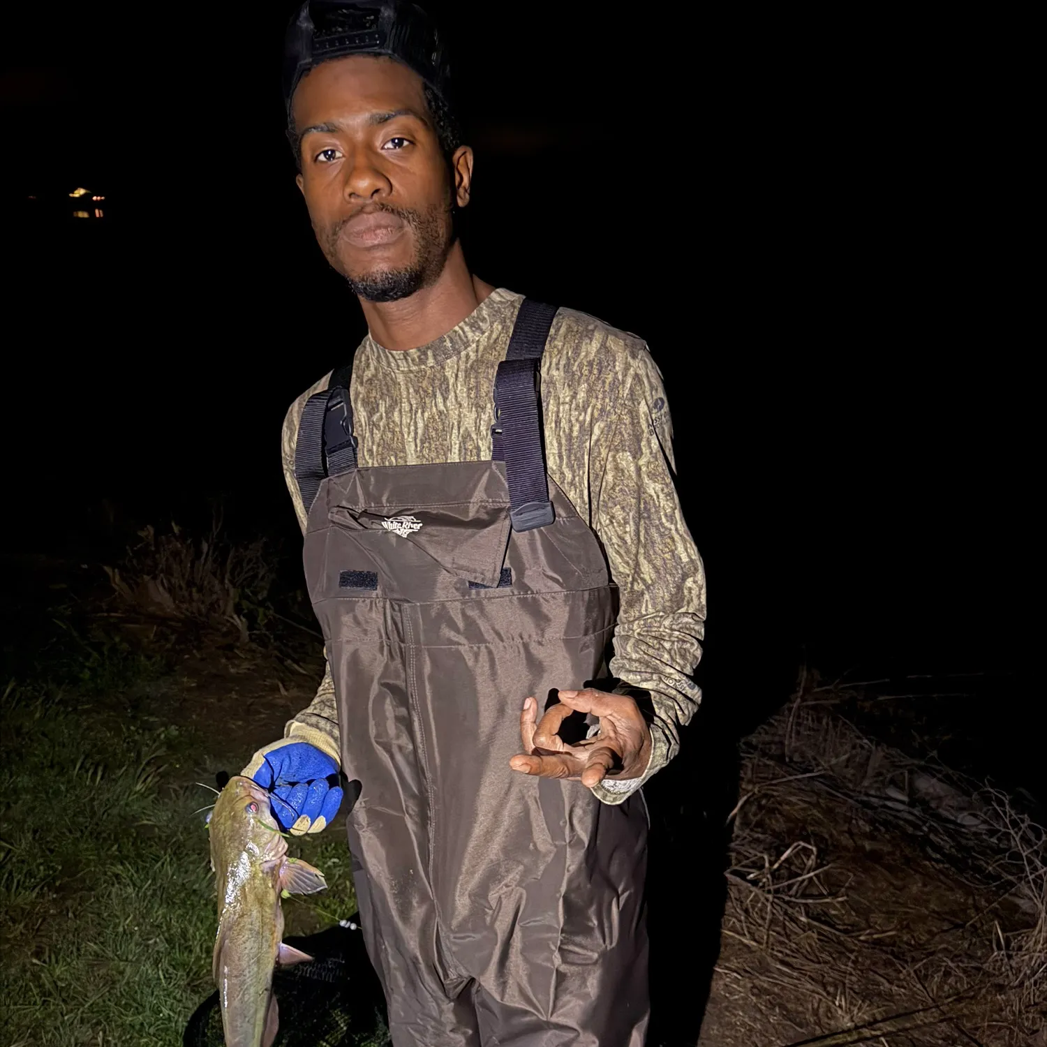 Flathead catfish caught on Fishbrain