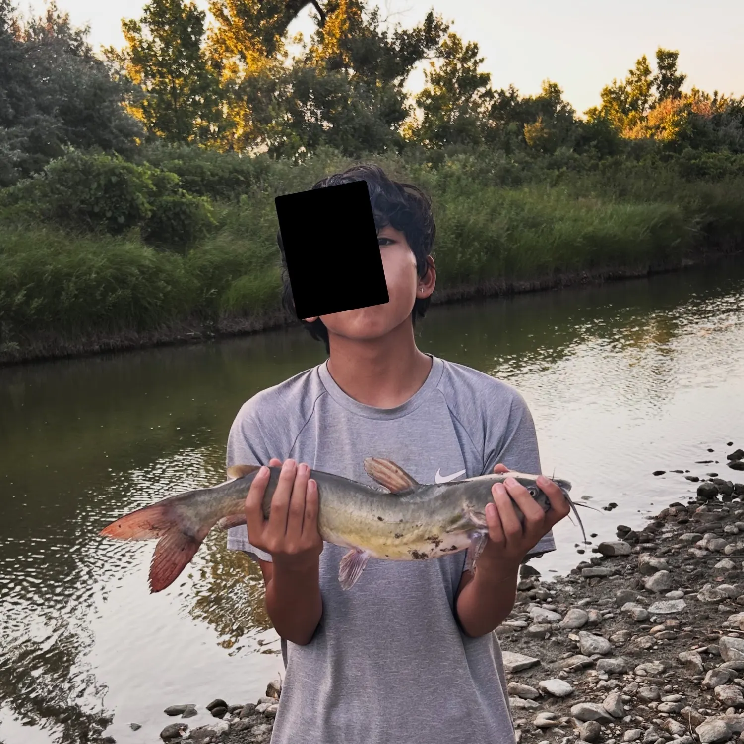 Channel catfish caught on Fishbrain