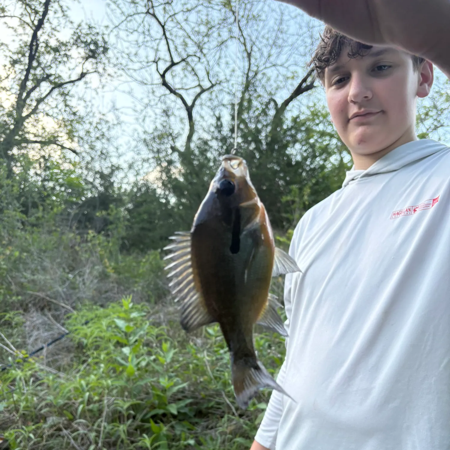 Bluegill caught on Fishbrain