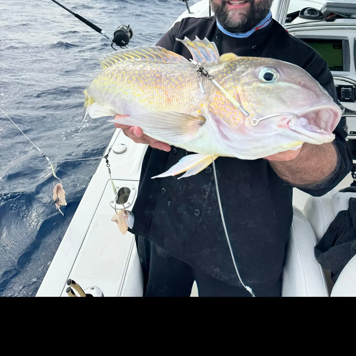 The most recent Atlantic goldeye tilefish catches on Fishbrain