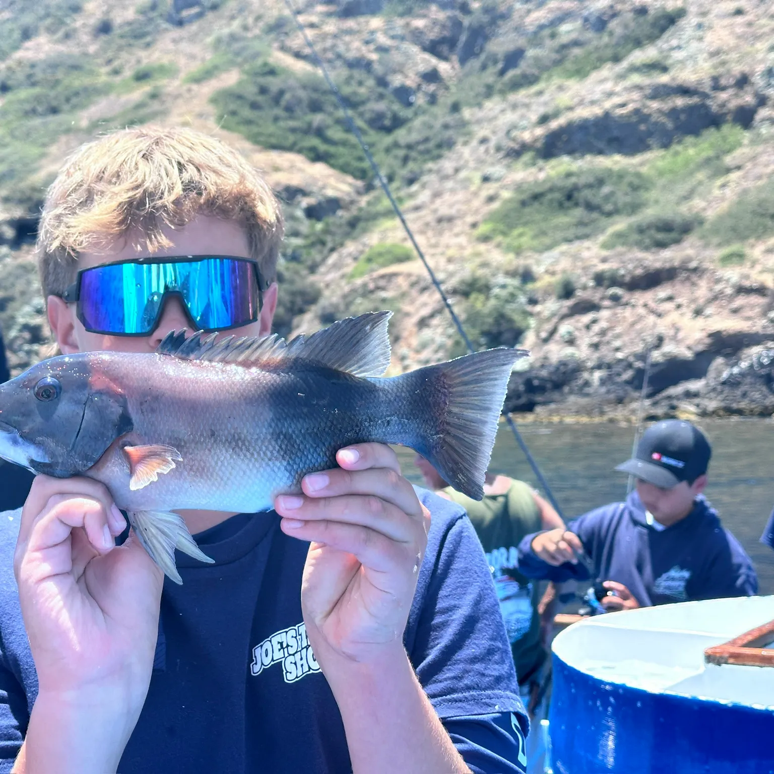 The most recent California sheephead catches on Fishbrain