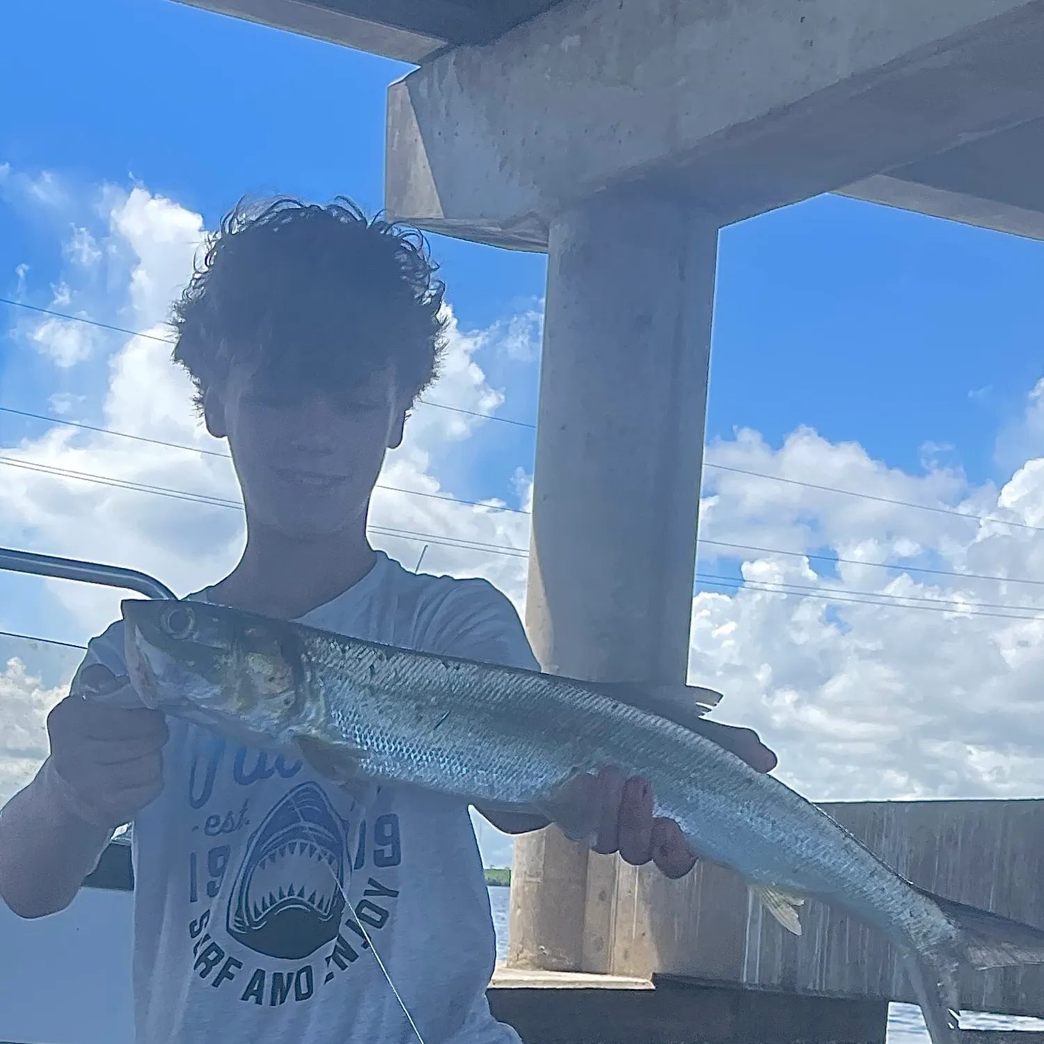 Ladyfish caught on Fishbrain