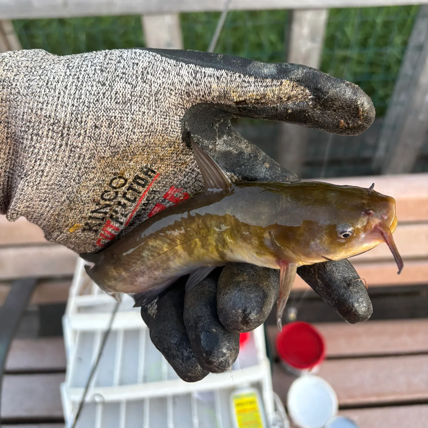 catch