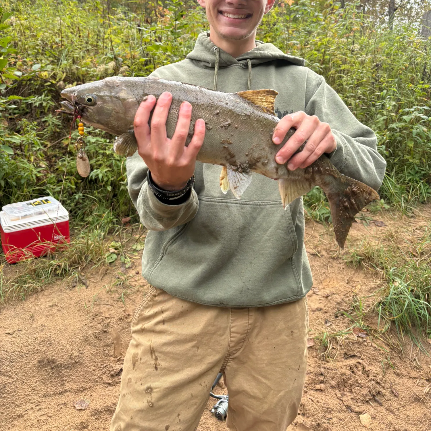 The most recent Steelhead catches on Fishbrain