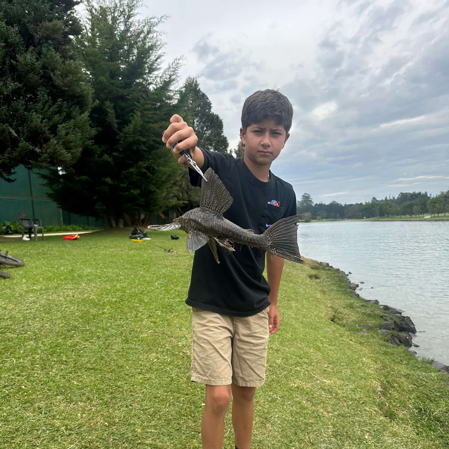 The most recent Suckermouth catfish catches on Fishbrain