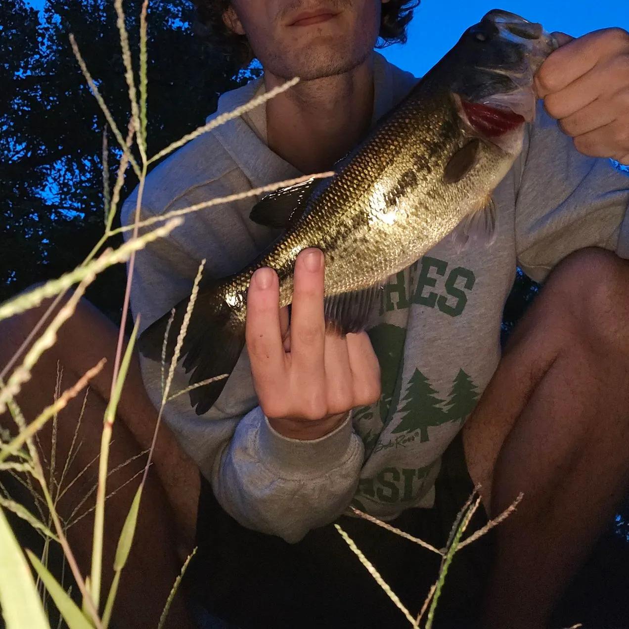 Largemouth bass caught on Fishbrain